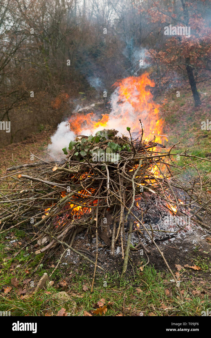 Garden fire with fierce flames with smoke fumes rising from a bonfire