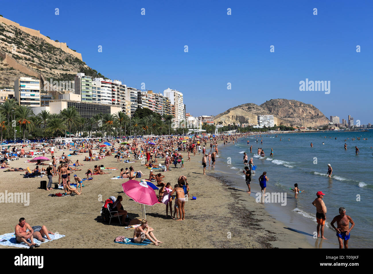 Sunbathers on the beach at Alicante City, capital of Valencia region, Spain, Europe Stock Photo