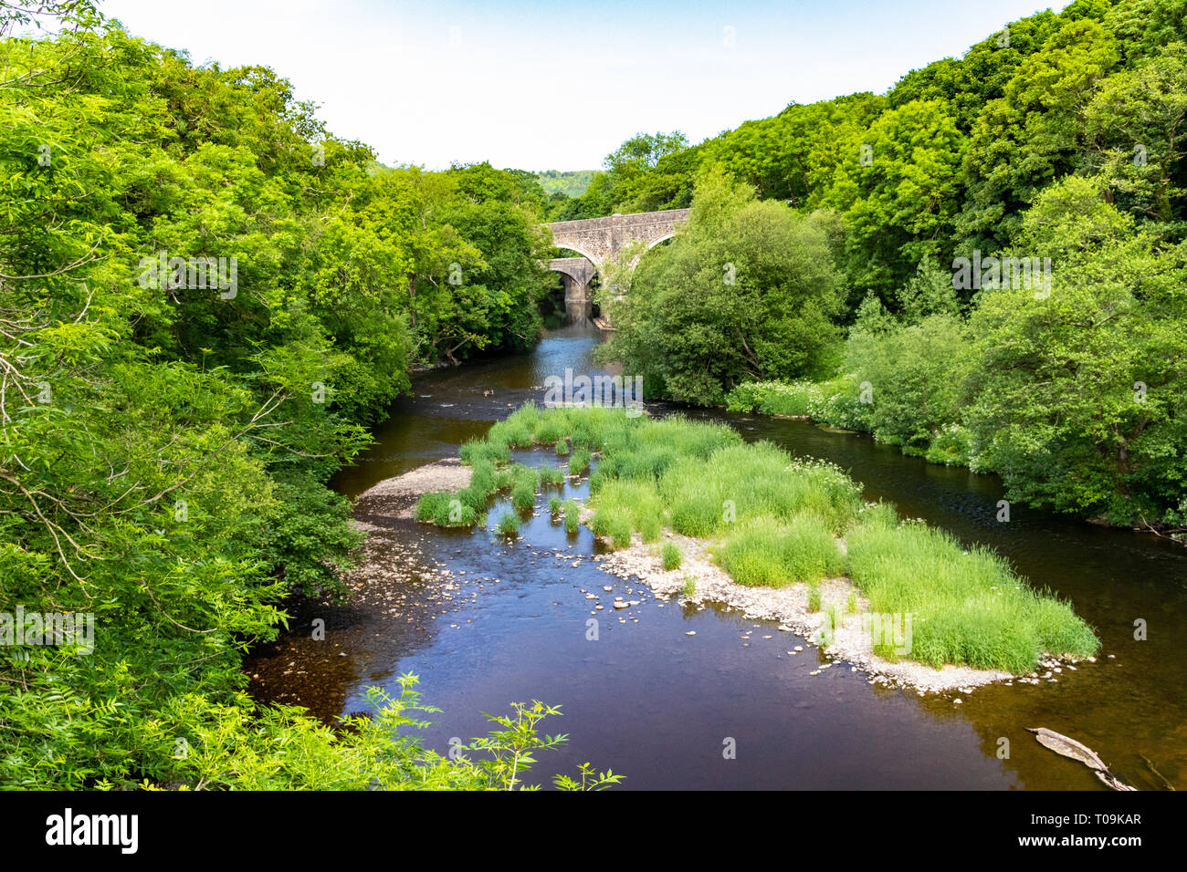 River Torridge in Summer's Low Flow. View Looking Down River at Rothern  Bridge and Rolle Bridge; Great Torrington, Devon, England Stock Photo -  Alamy