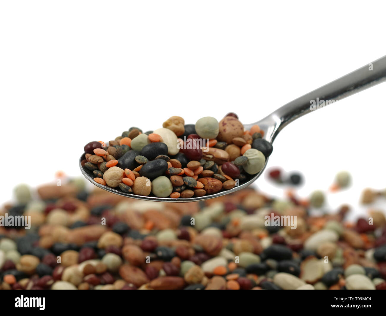 Variety of protein rich colorful legumes on silver spoon with copy space, close up Stock Photo