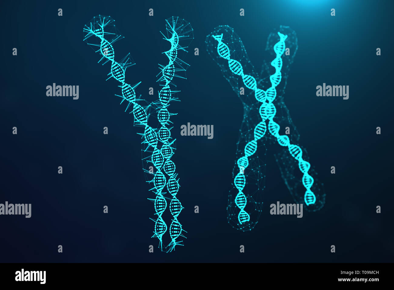 X and y human chromosomes hi-res stock photography and images - Alamy
