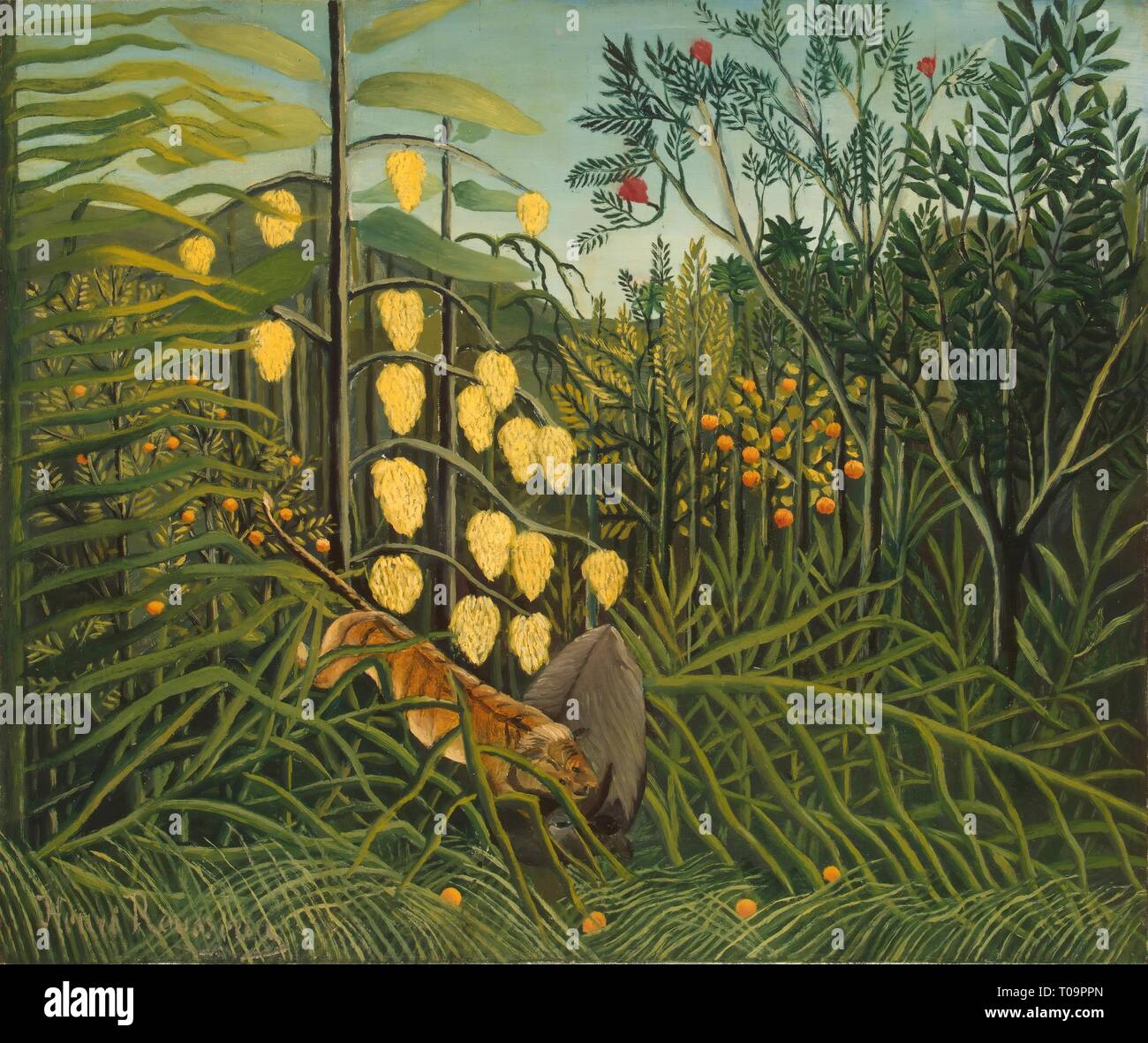 'In a Tropical Forest. Struggle between Tiger and Bull'. France, Circa 1908-1909. Dimensions: 46x55 cm. Museum: State Hermitage, St. Petersburg. Author: HENRI ROUSSEAU . Henri Rousseau. Henri Julien Félix Rousseau. Stock Photo