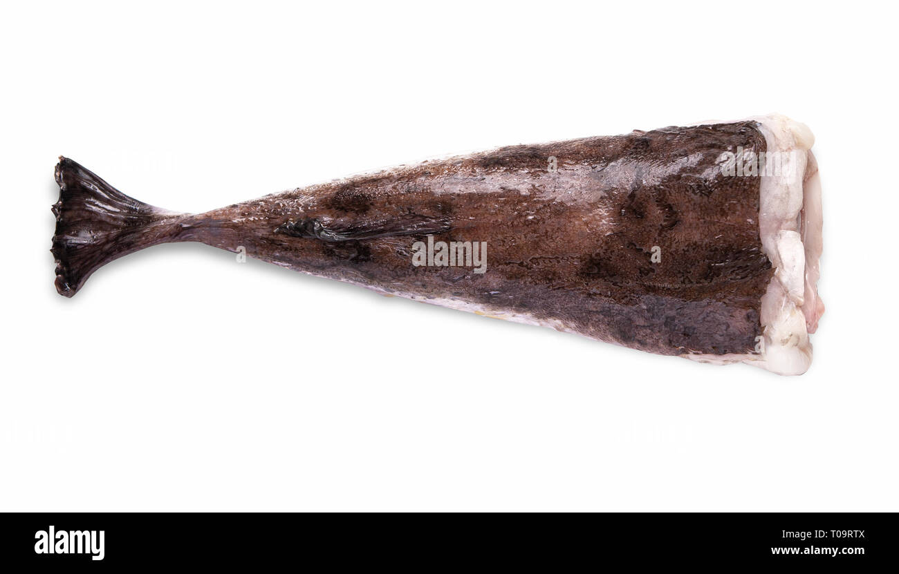 Monkfish fillet carcass without head on white background Stock Photo