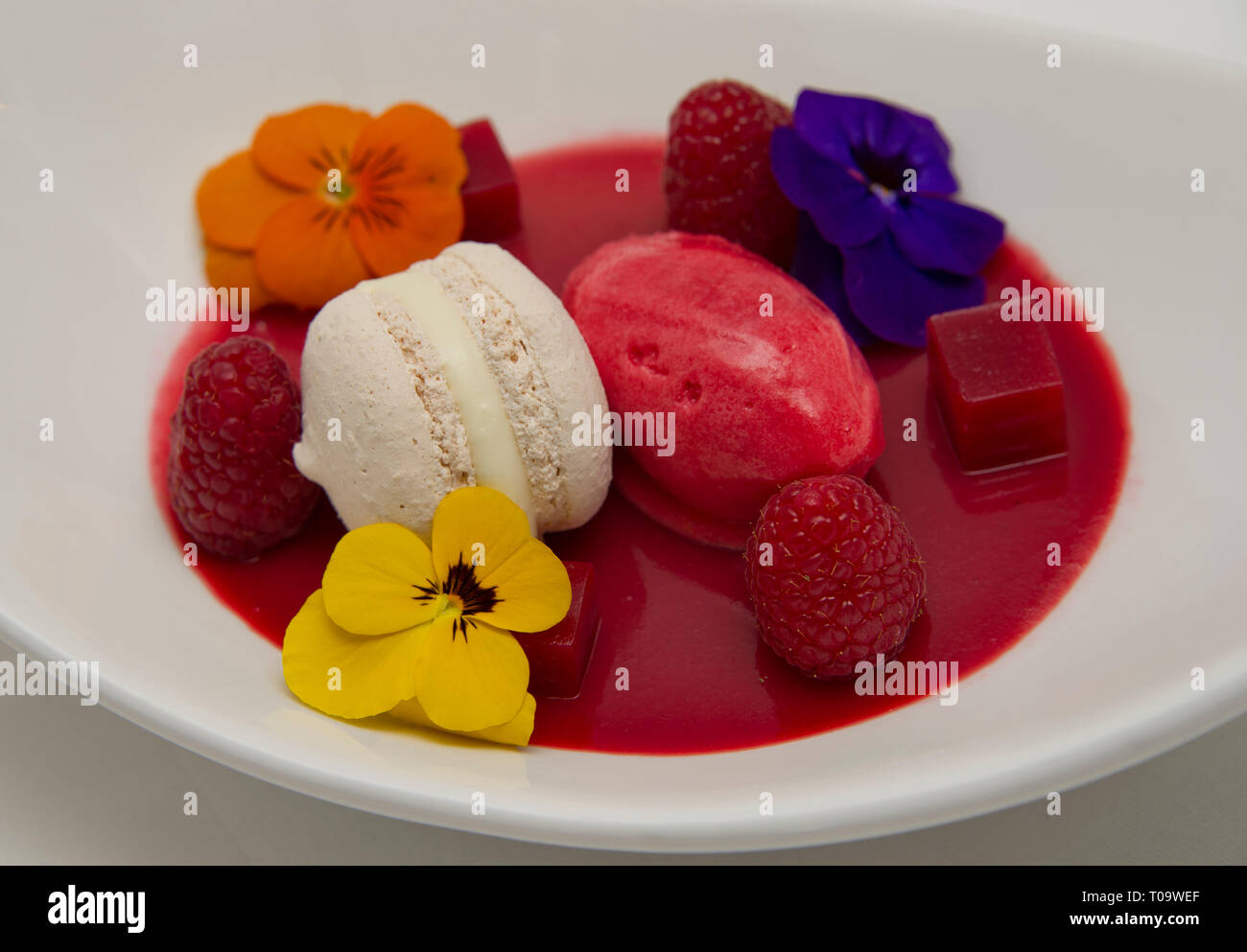 Tonka bean panna cotta, rosewater macaroon and raspberry sorbet Stock