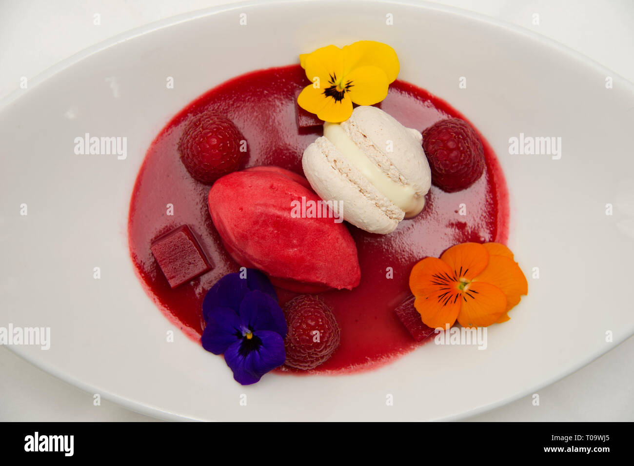 Tonka bean panna cotta, rosewater macaroon and raspberry sorbet Stock