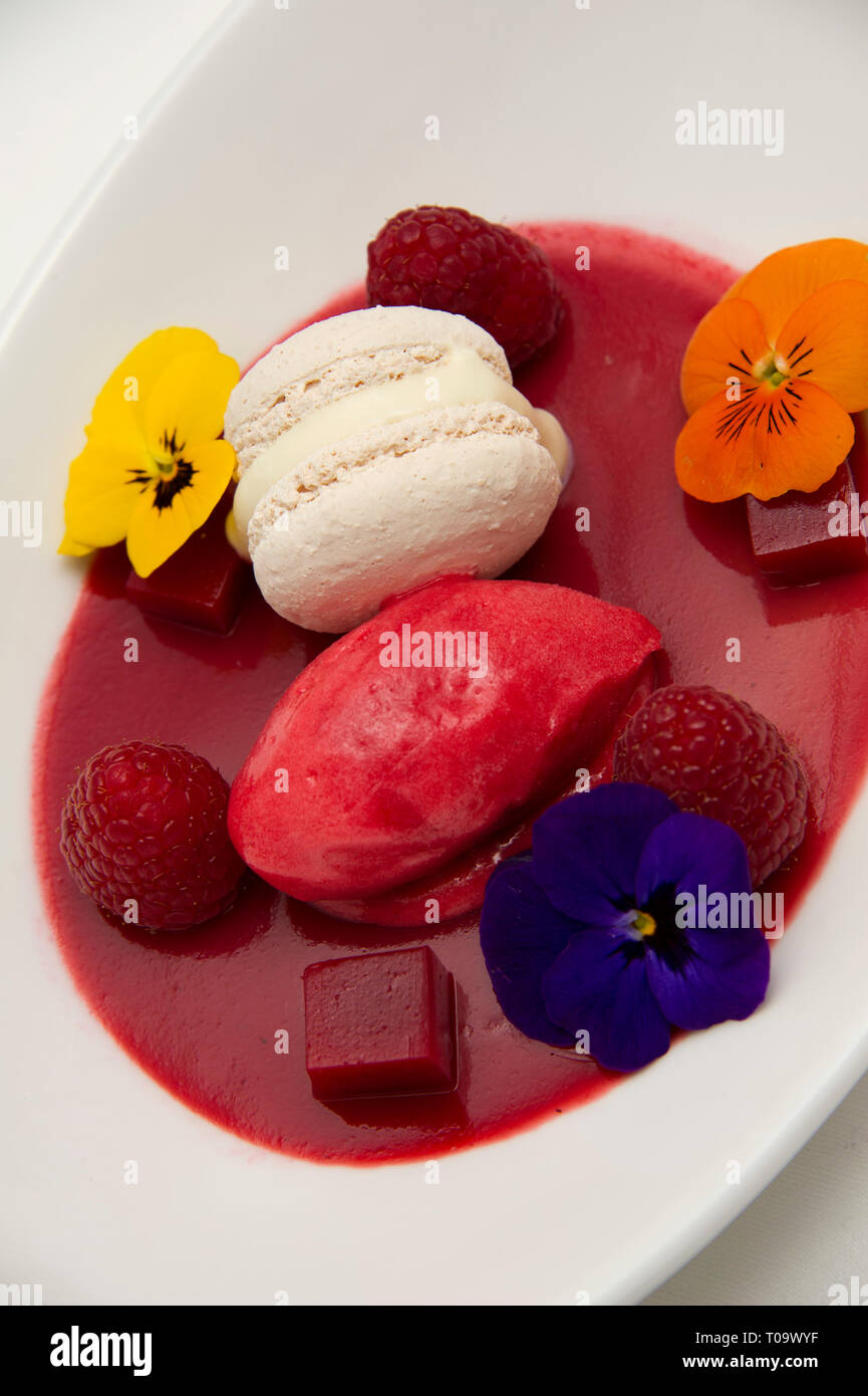 Tonka bean panna cotta, rosewater macaroon and raspberry sorbet Stock