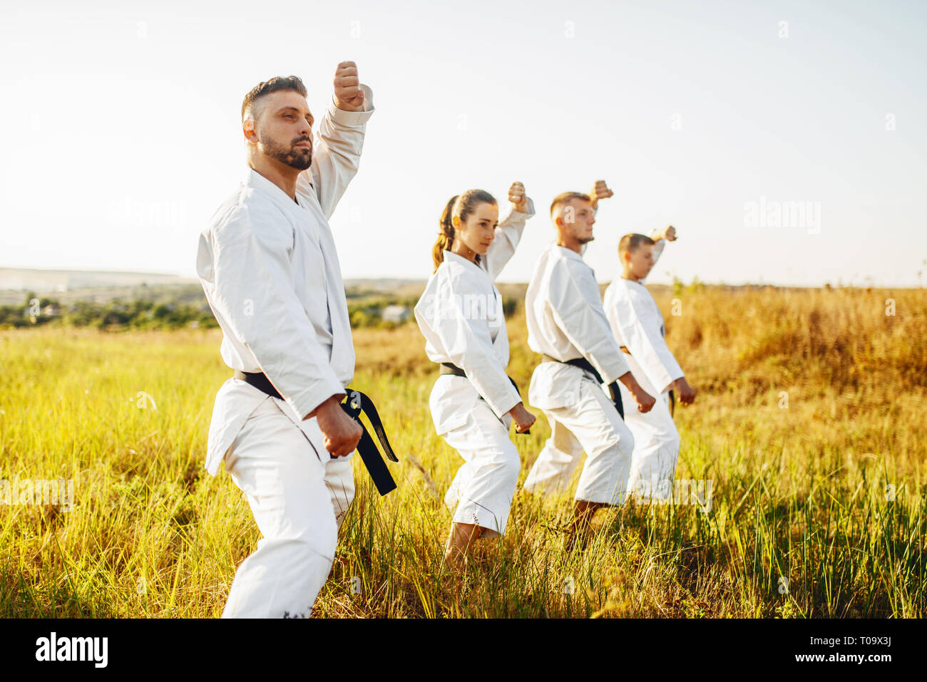 Karate class work out the stand, training in summer field. Martial art