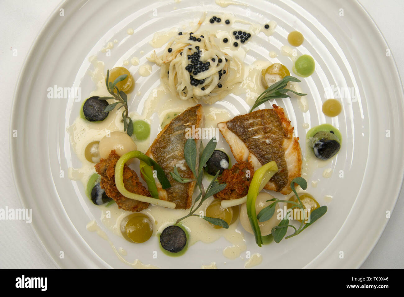 John dory, celeriac linguine, crispy oysters, pickled apple and oyster