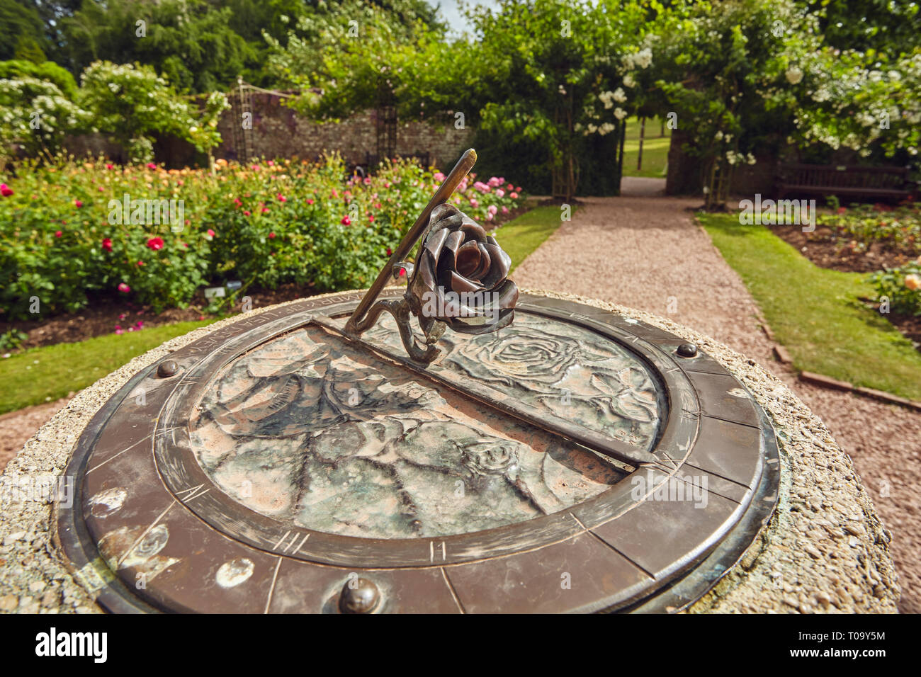 A sundial in a rose garden at the height of summer, Cockington, Torquay, Devon, Great Britain. Stock Photo