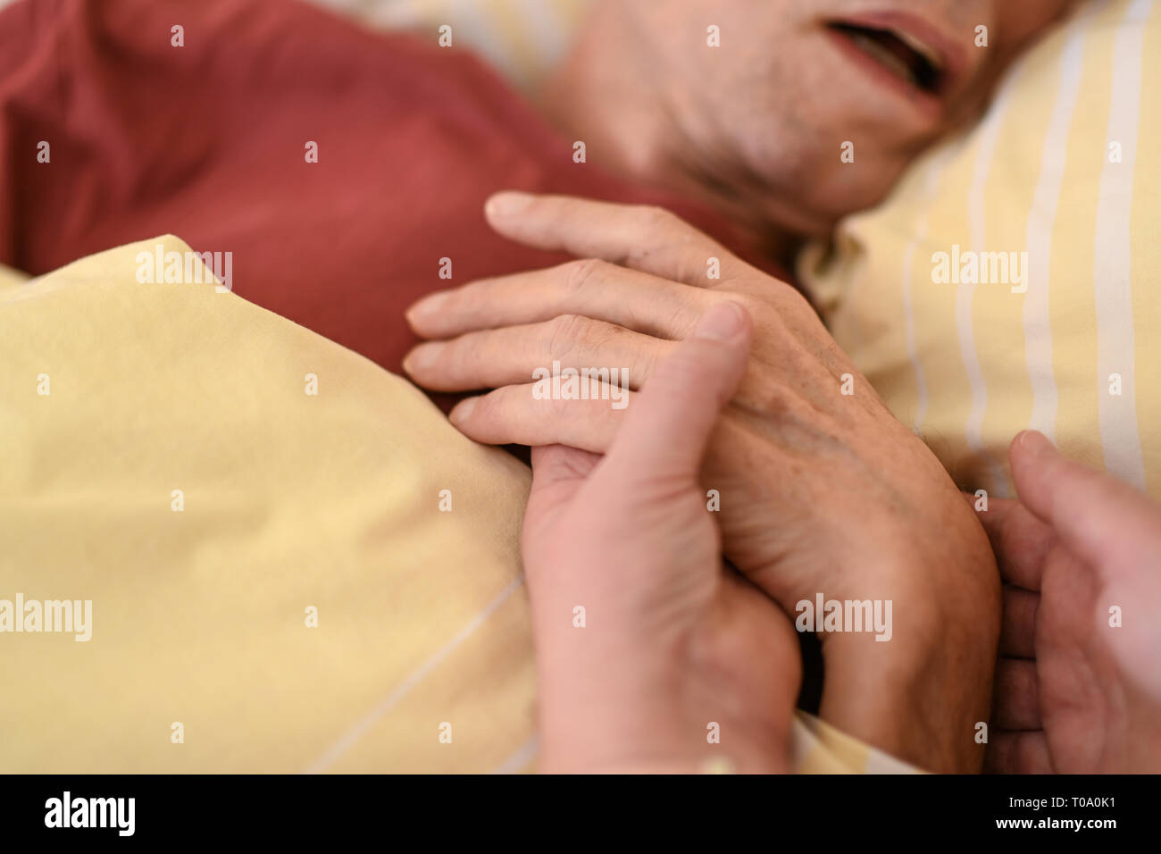 14 February 2019, Baden-Wuerttemberg, Friedrichshafen: A hospice worker holds the hand of a terminally ill person lying in bed in the hospice. Photo: Felix Kästle/dpa Stock Photo