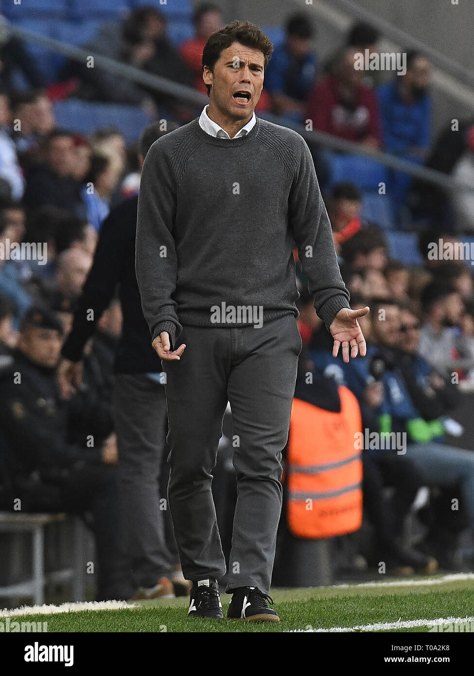BARCELONA, 17-03-2019. LaLiga 2018/ 2019, date 28. Espanyol-Sevilla. Espanyol manager Joan Francesc Ferrer Rubi during the game Espanyol-Sevilla Stock Photo
