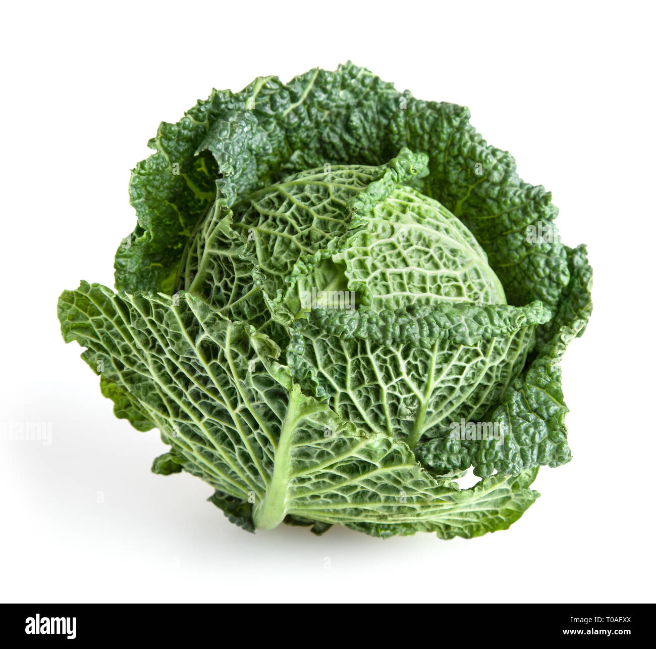 Savoy cabbage isolated on white background Stock Photo