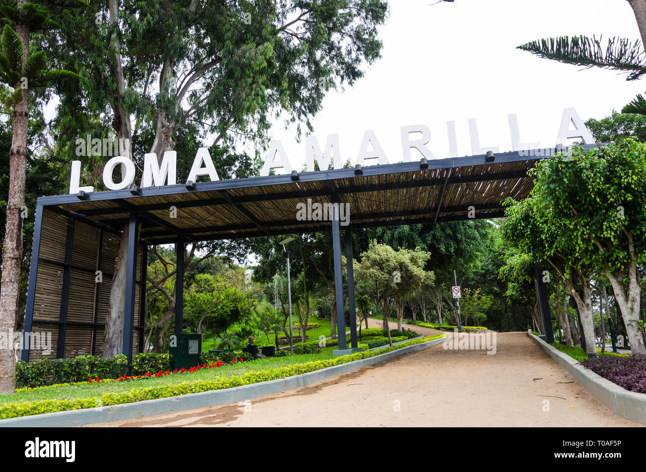 Loma Amarilla an ecosystem with more than 4,000 square meters of pure air. Habitat of 34 species of birds and 25 types of trees, considered one of the last ecological lungs of Lima. Stock Photo