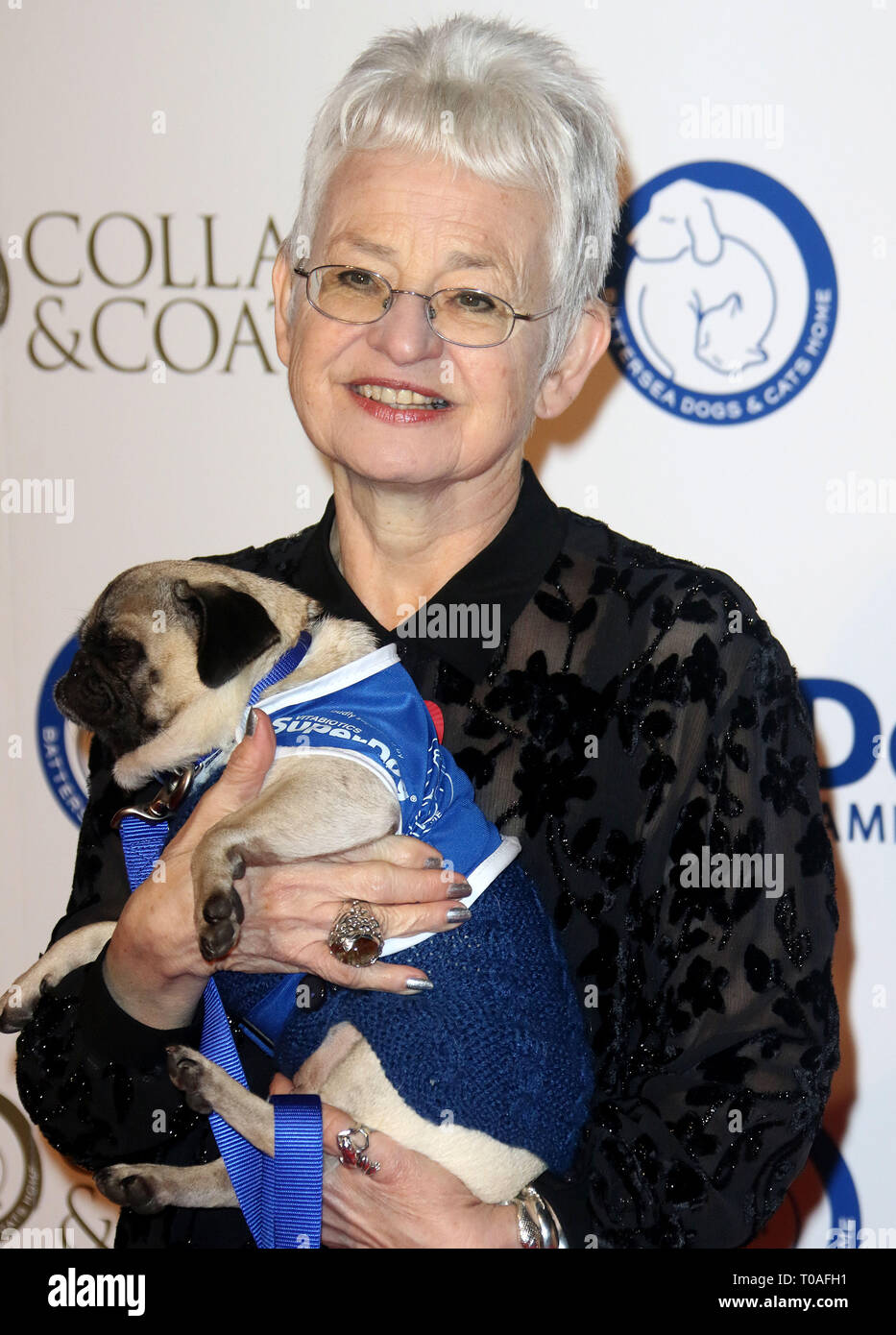 Nov 03, 2016 London, England, UK Collars and Coats Gala Ball 2016