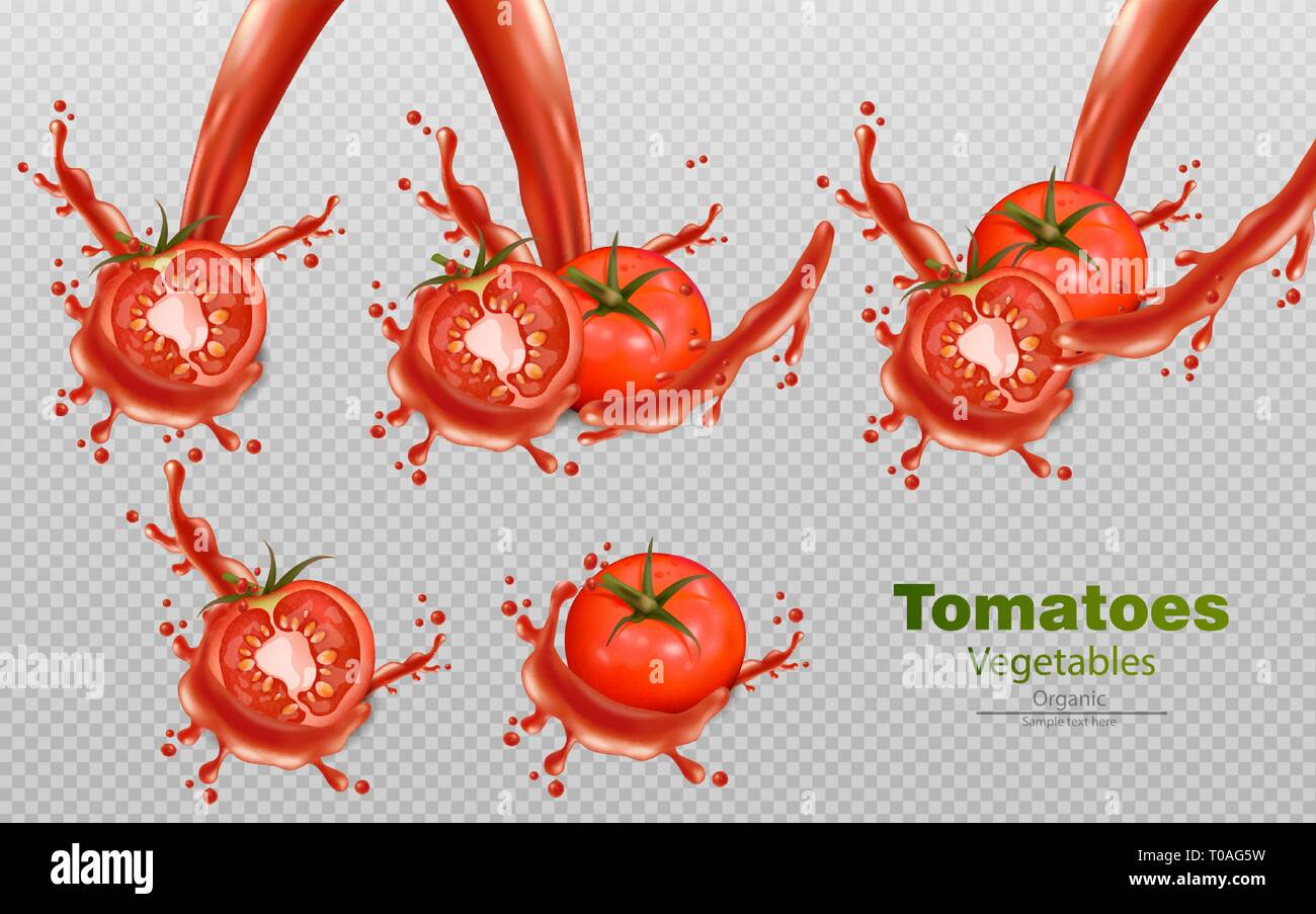 Tomatoes splash isolated Vector realistic. Detailed 3d illustration ...