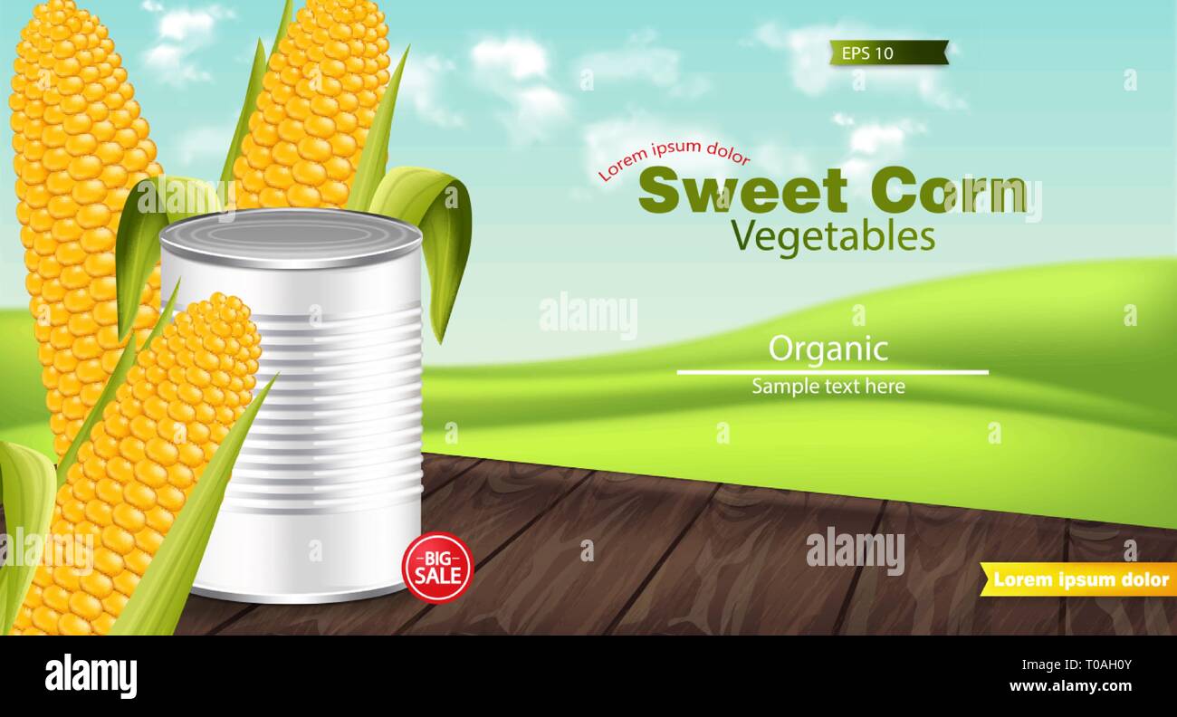 Vector realistic Metal tin. Product package mock up. Sweet corn