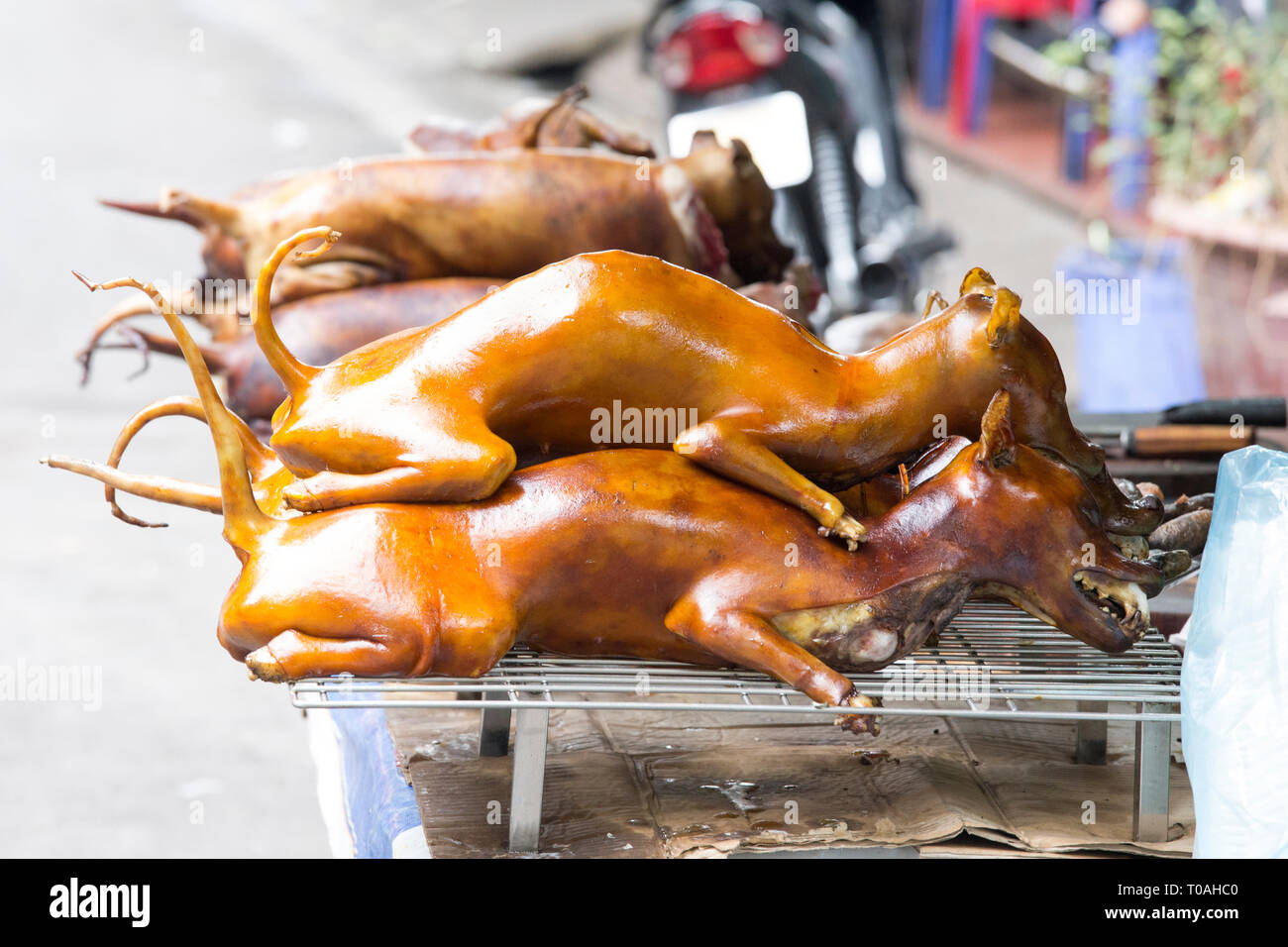 Dog meat sold at market in Hanoi, Vietnam Stock Photo Alamy