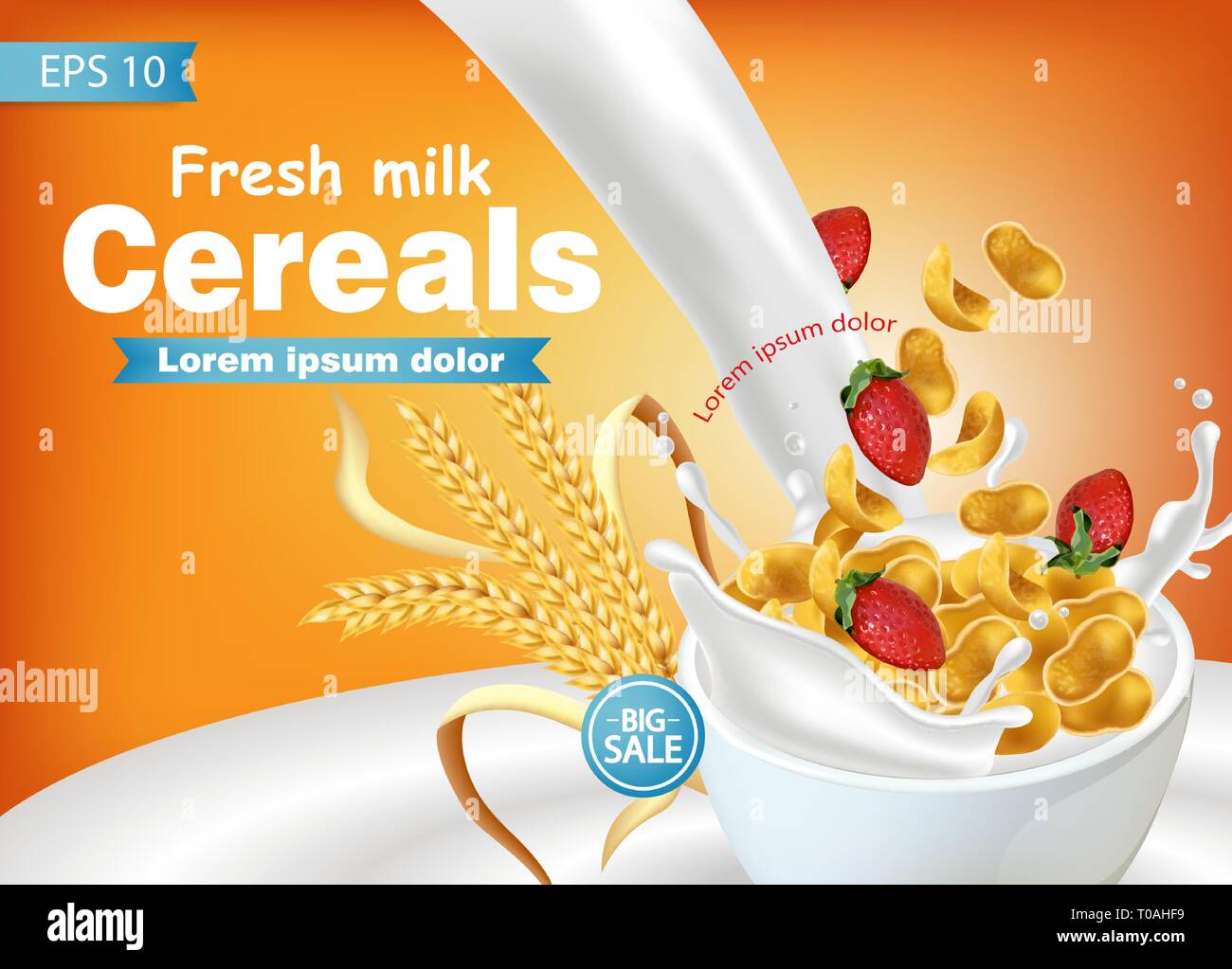 Cornflakes In Milk Splash Vector Realistic Mock Up. Product Placement 