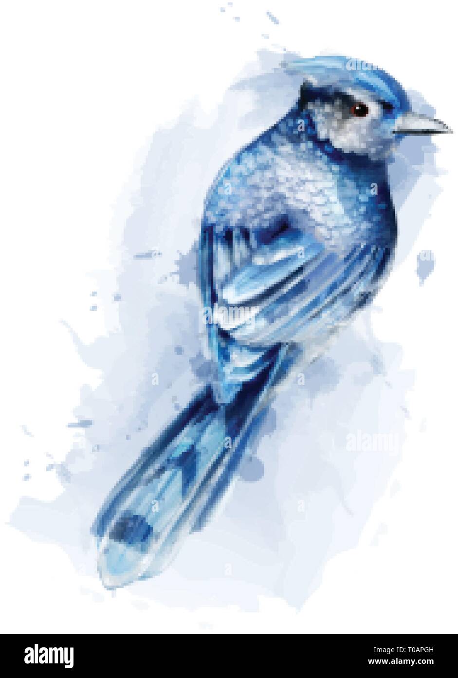 Cute Blue Bird Watercolor Vector Isolated On White Vintage Design Stock Vector Image Art Alamy