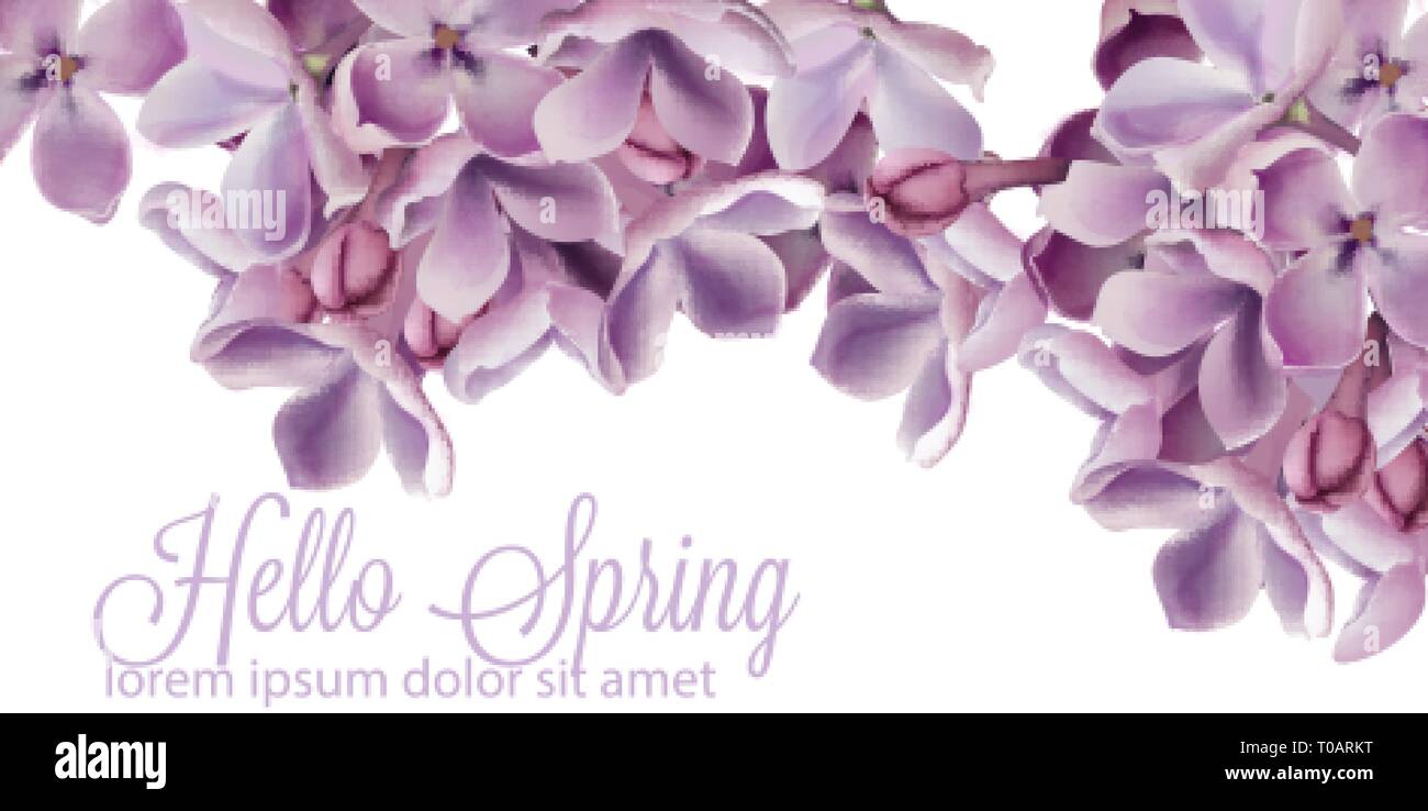 Mùa xuân là mùa của sự trẻ trung và tươi mới. Hình ảnh hoa lila mùa xuân sẽ đưa bạn đến với không gian yên bình, đầy màu sắc và hương thơm của hoa. Cùng khám phá vẻ đẹp của hoa lila và cảm nhận được nguồn năng lượng sáng tạo mà mùa xuân mang lại.