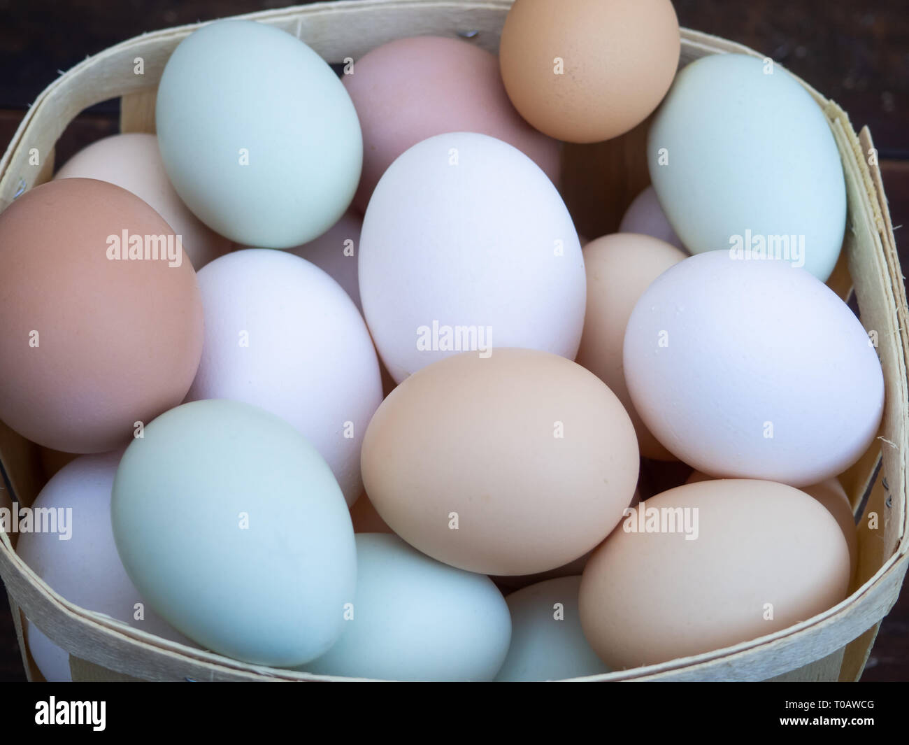 A group of ecological eggs of various colors, white eggs, blue eggs and ...