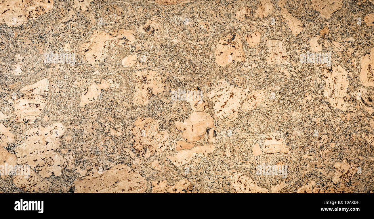 Beautiful natural texture of cork oak. Cork cover background. Wooden texture Stock Photo