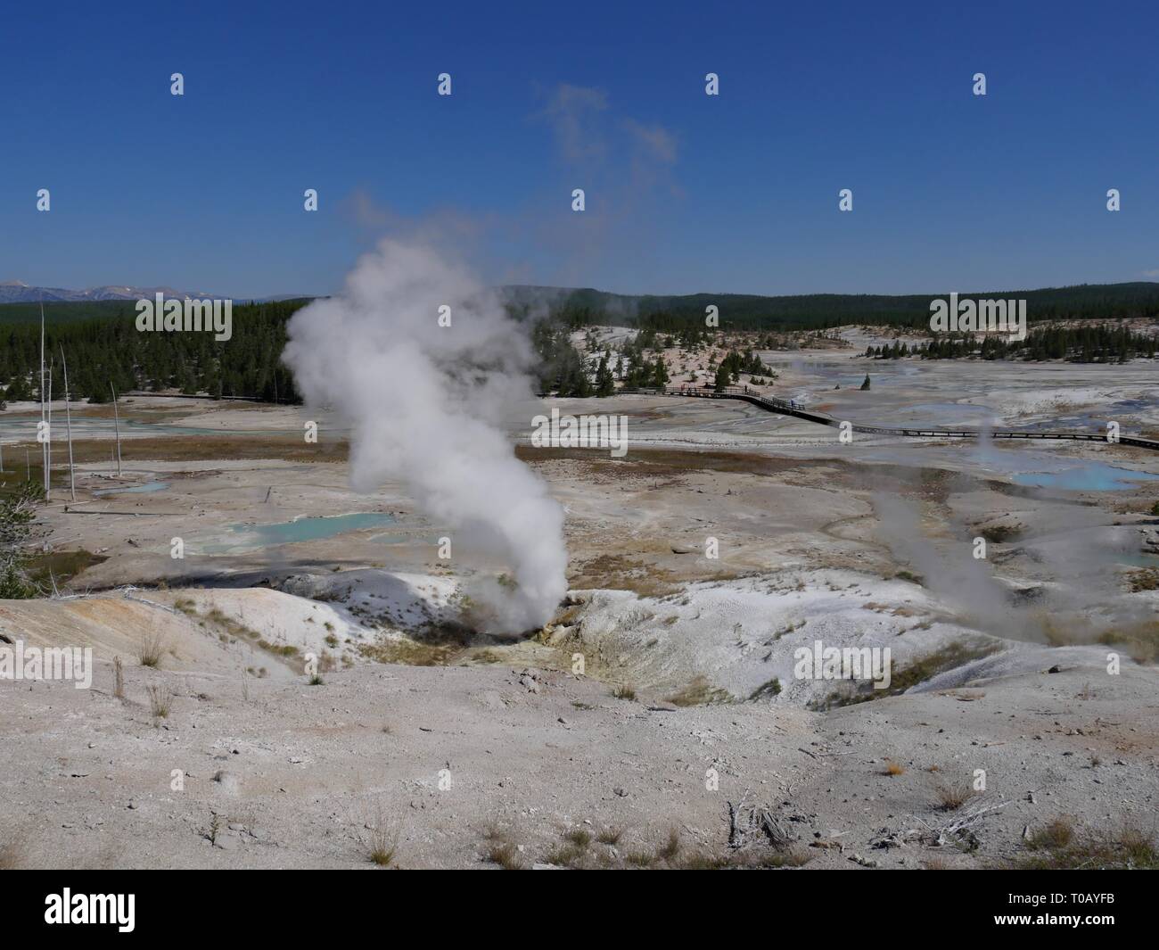 Wide shot of the Black Growler Steam Vent at the Porcelain Basin, Norris Geyser Basin at Yellowstone National Park in Wyoming. Stock Photo
