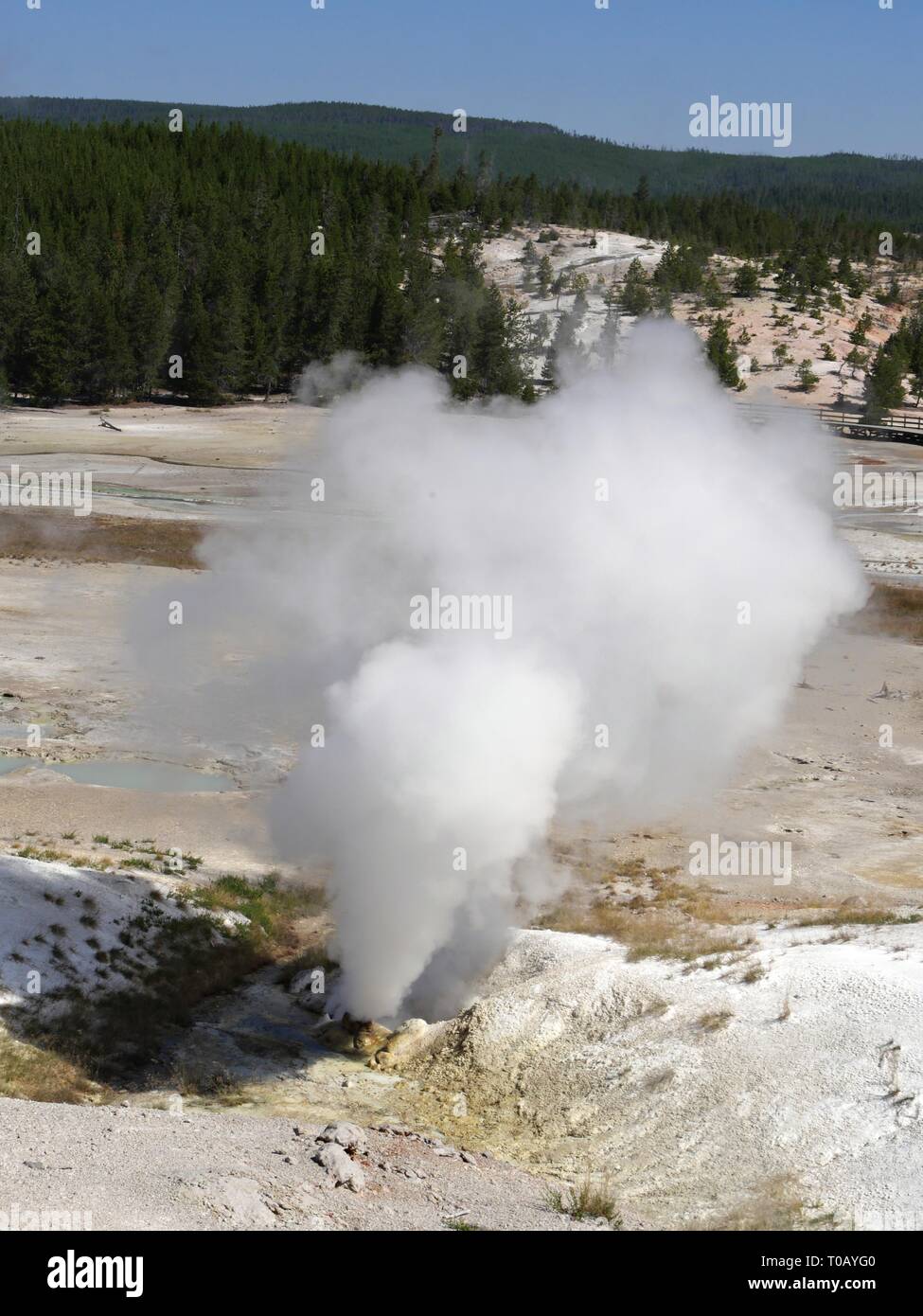 Top view of the Black Growler Steam Vent at the Porcelain Basin, Norris Geyser Basin at Yellowstone National Park in Wyoming. Stock Photo