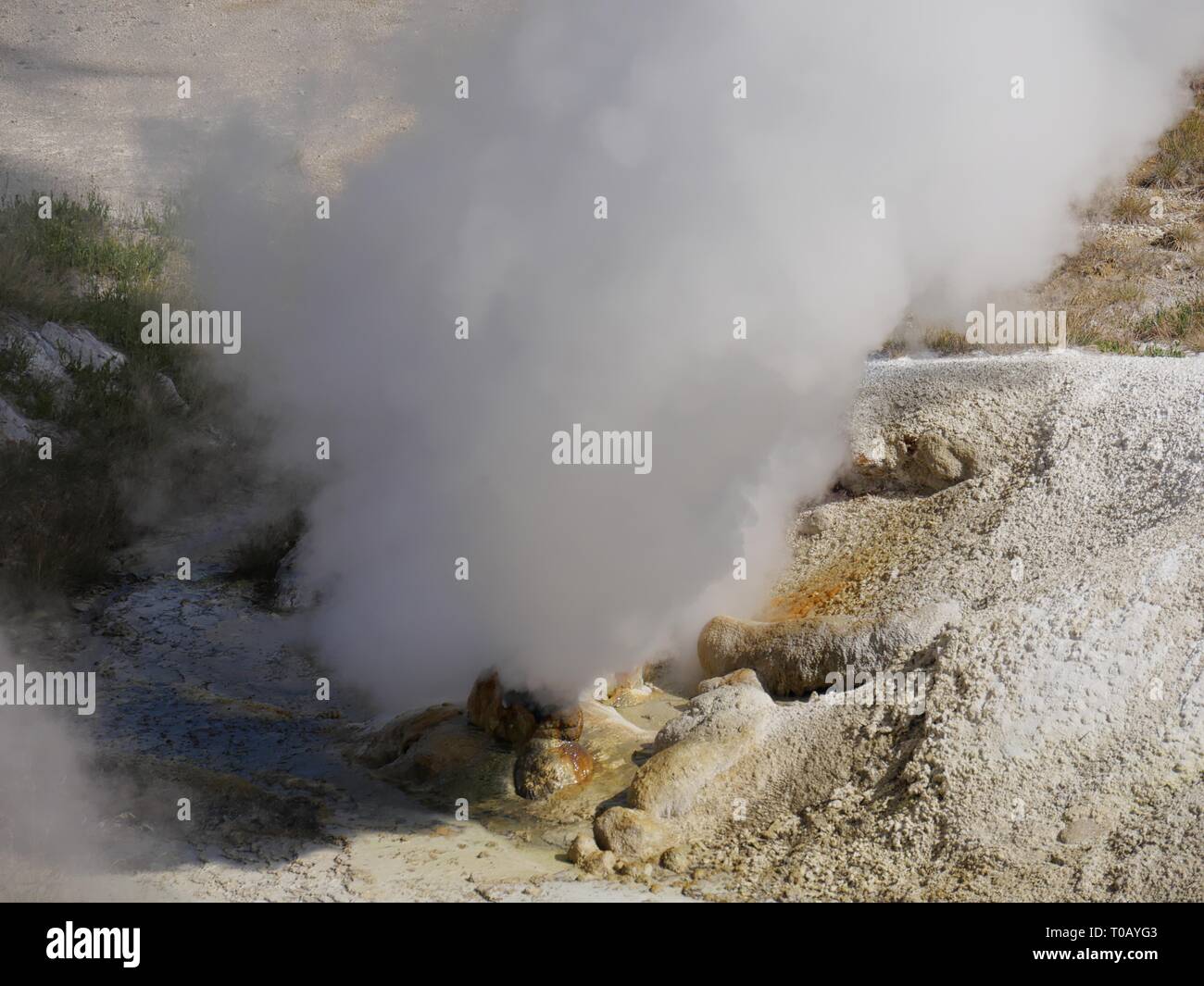 Close up of the base of the Black Growler Steam Vent at the Porcelain Basin, Norris Geyser Basin at Yellowstone National Park in Wyoming. Stock Photo