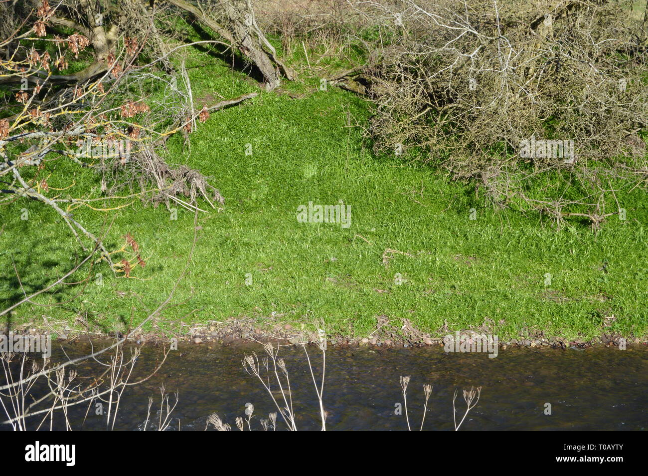 Carnoustie High Resolution Stock Photography and Images Alamy
