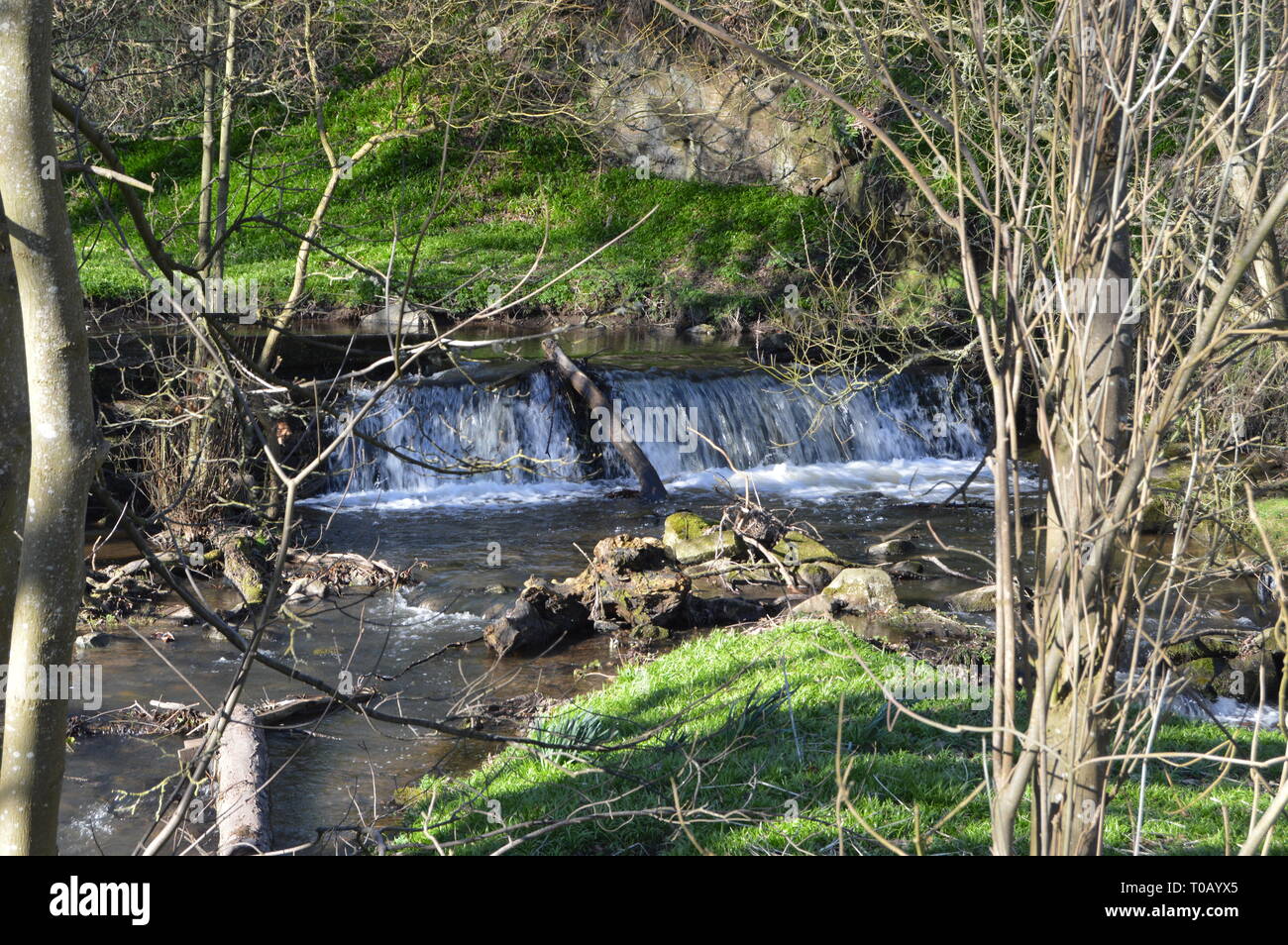 Craigmiill hires stock photography and images Alamy