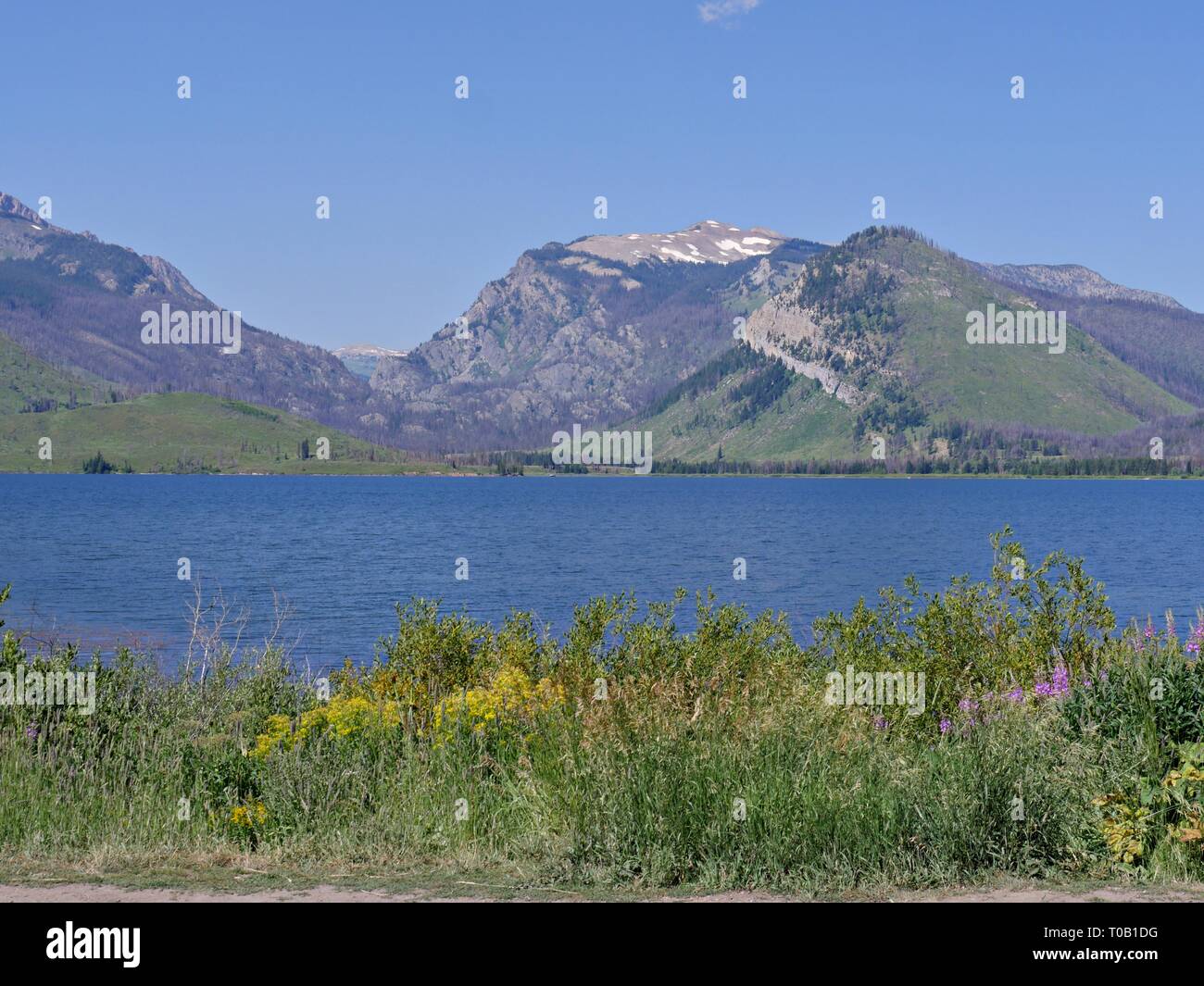 Scenic view of the Jackson Lake at Grand Teton National Park in Wyoming. Stock Photo