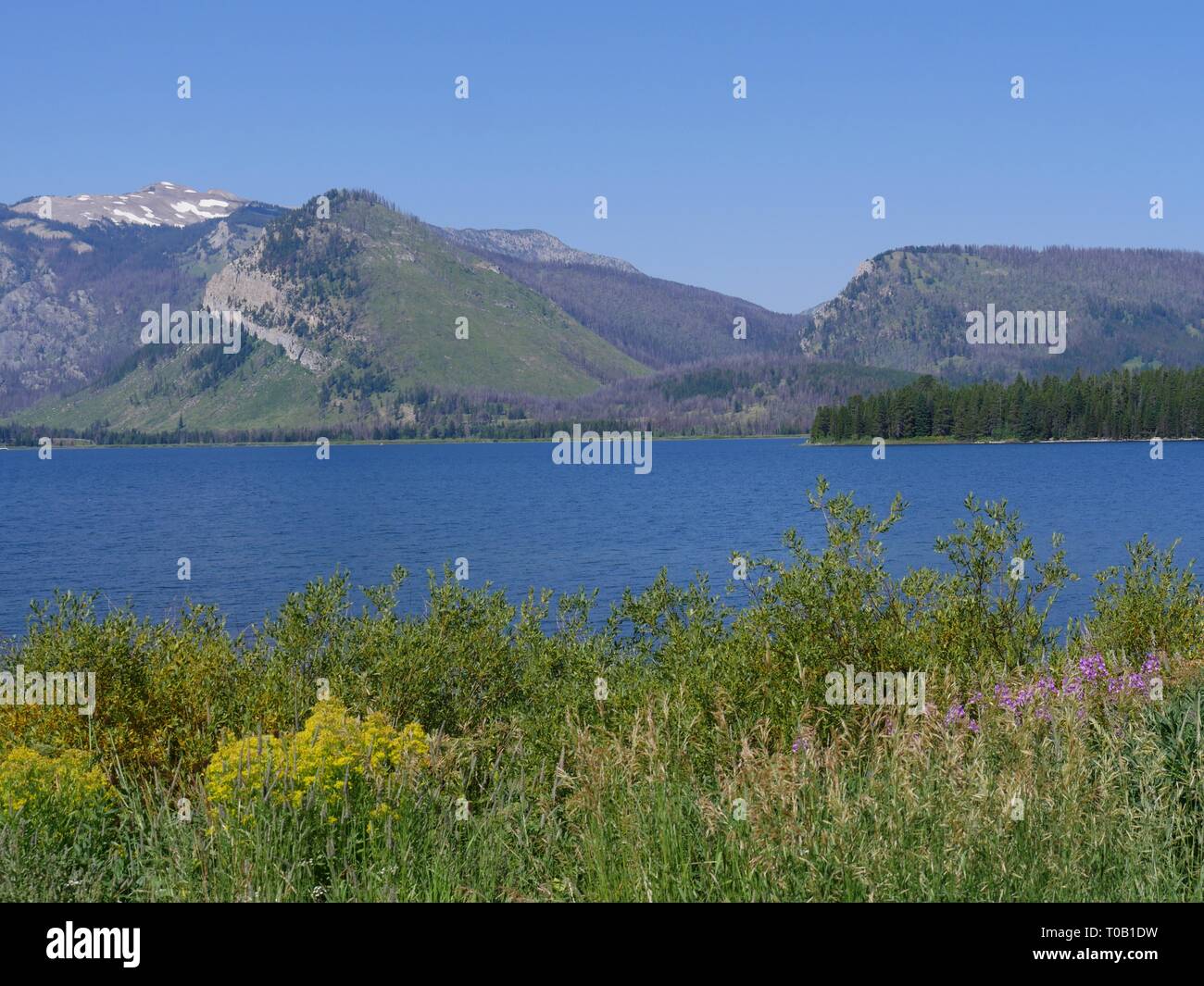 Jackson Lake at the Grand Teton National Park in Wyoming. Stock Photo