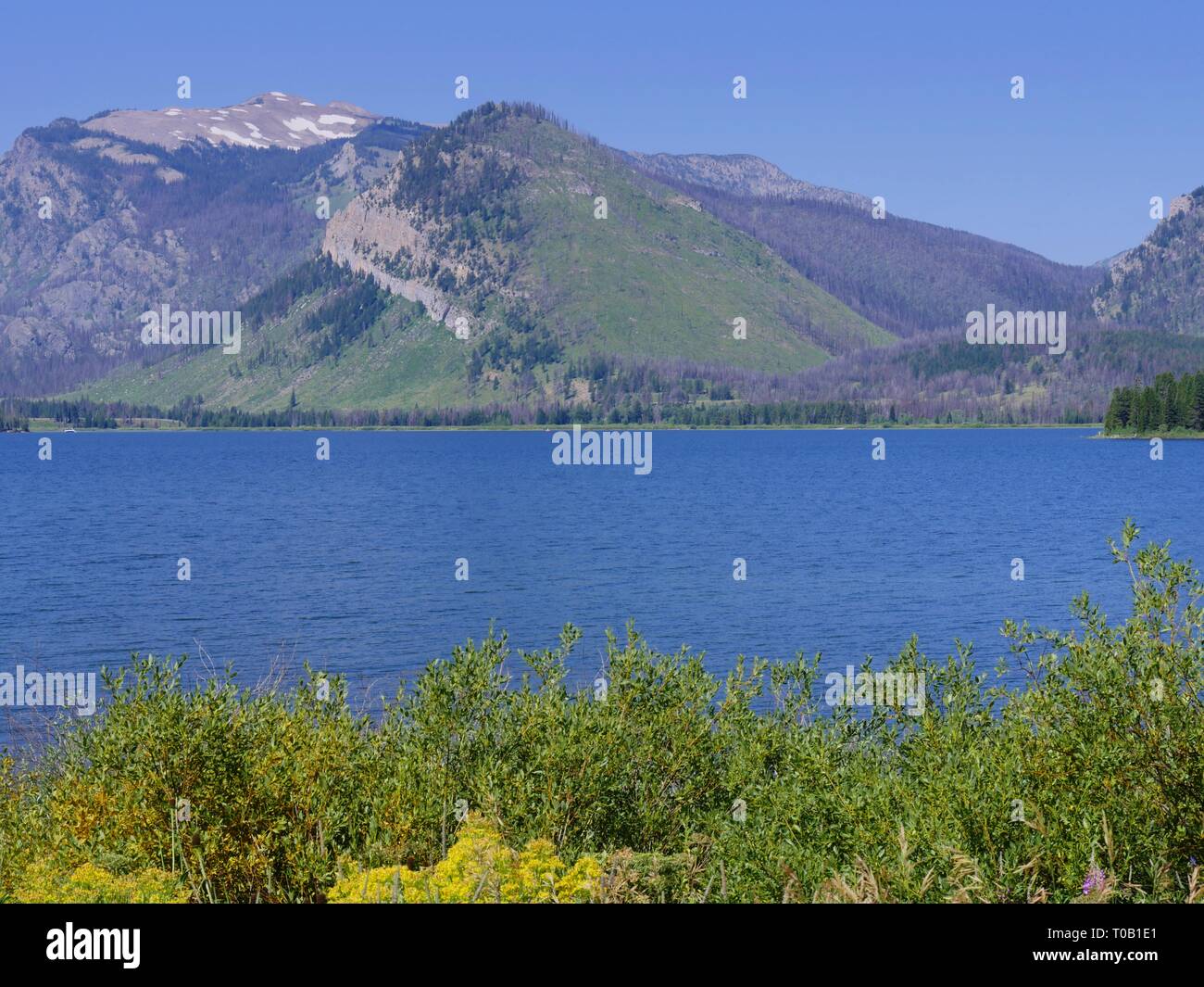 Medium close up of Jackson Lake at the Grand Teton National Park in Wyoming. Stock Photo