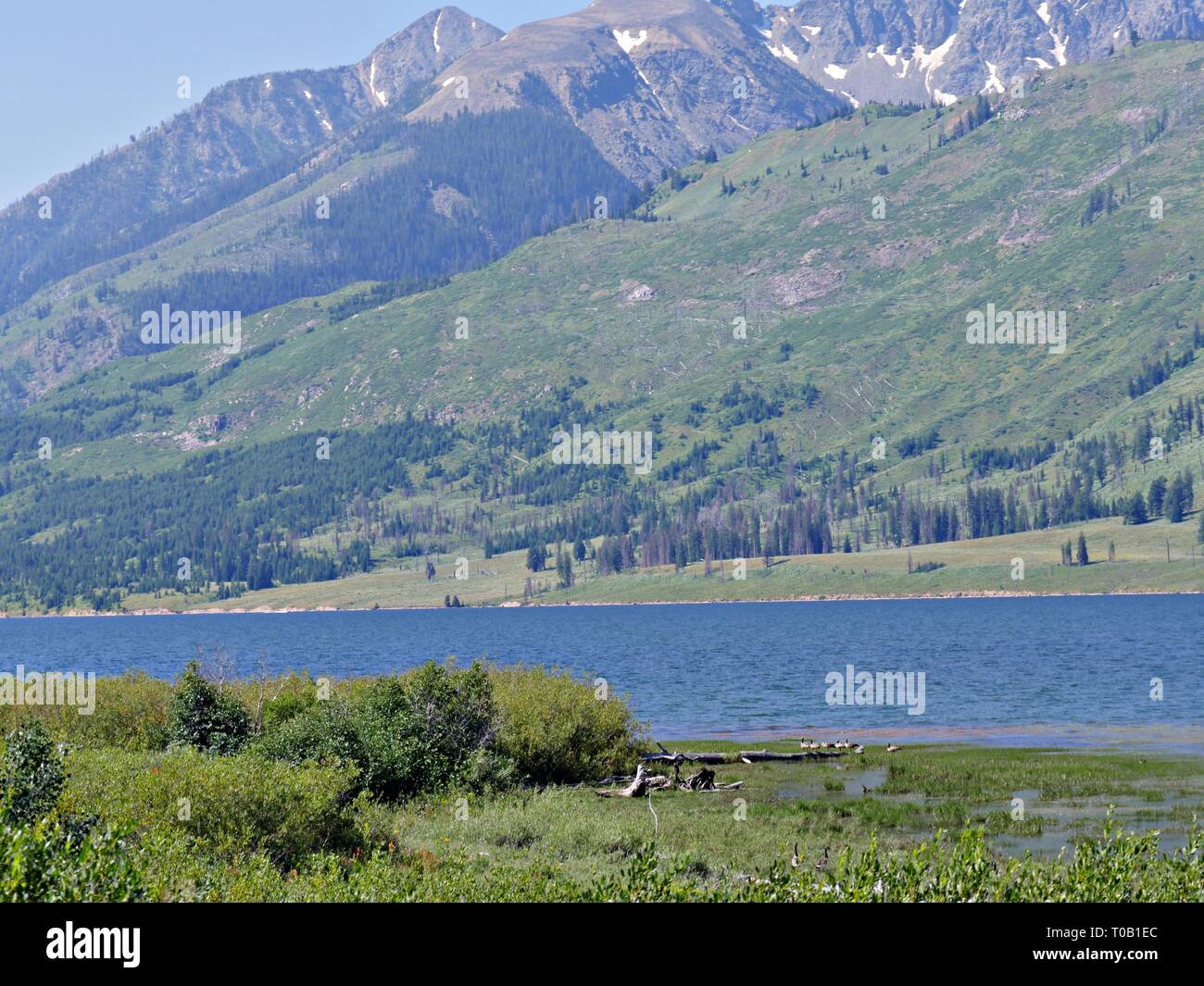 Medium close view of Jackson Lake at the Grand Teton National Park in Wyoming, seen from the roadside. Stock Photo