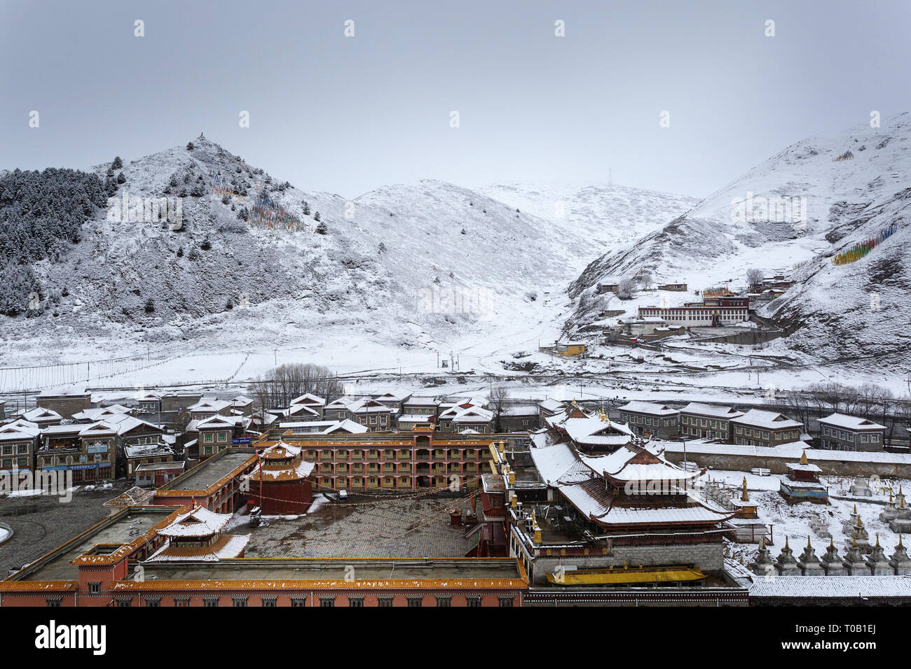 Golden temple snow hi-res stock photography and images - Alamy