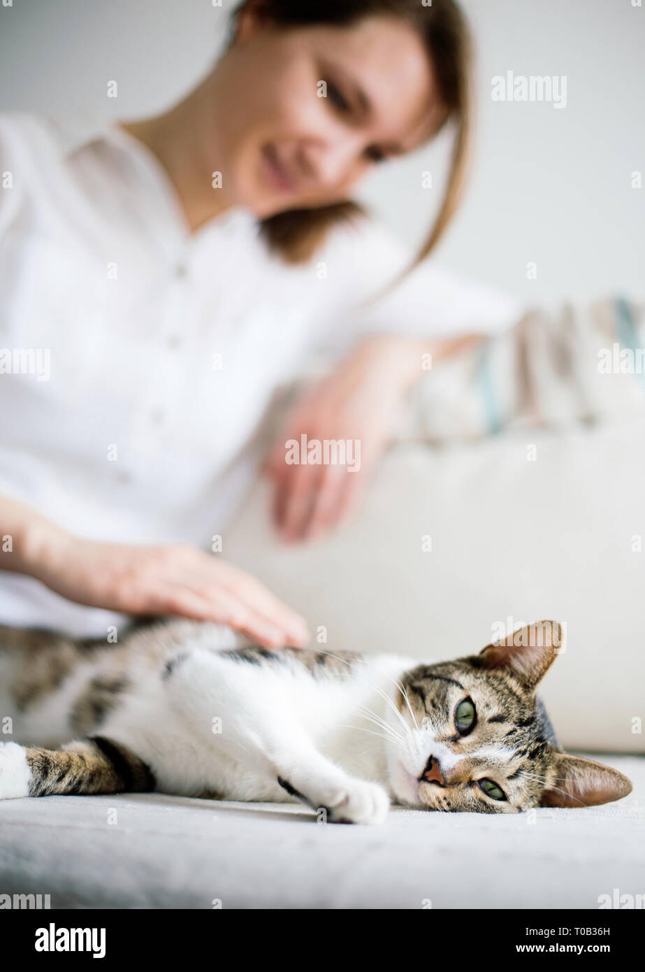 Cat and young woman on bed cuddling. Pet love. Stock Photo