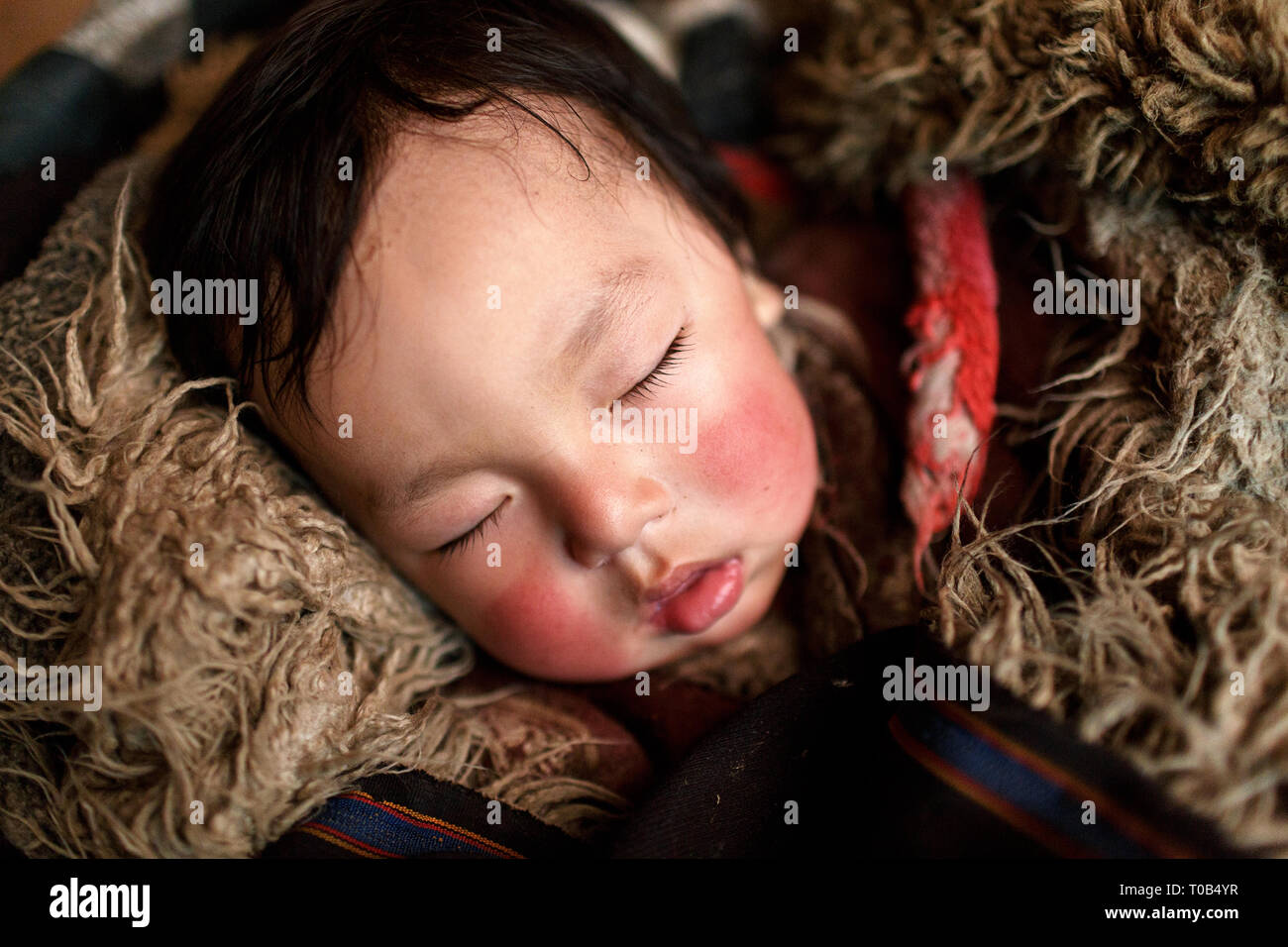 Portrait of a cute tibetan baby sleeping, Tagong, Sichuan, China Stock Photo