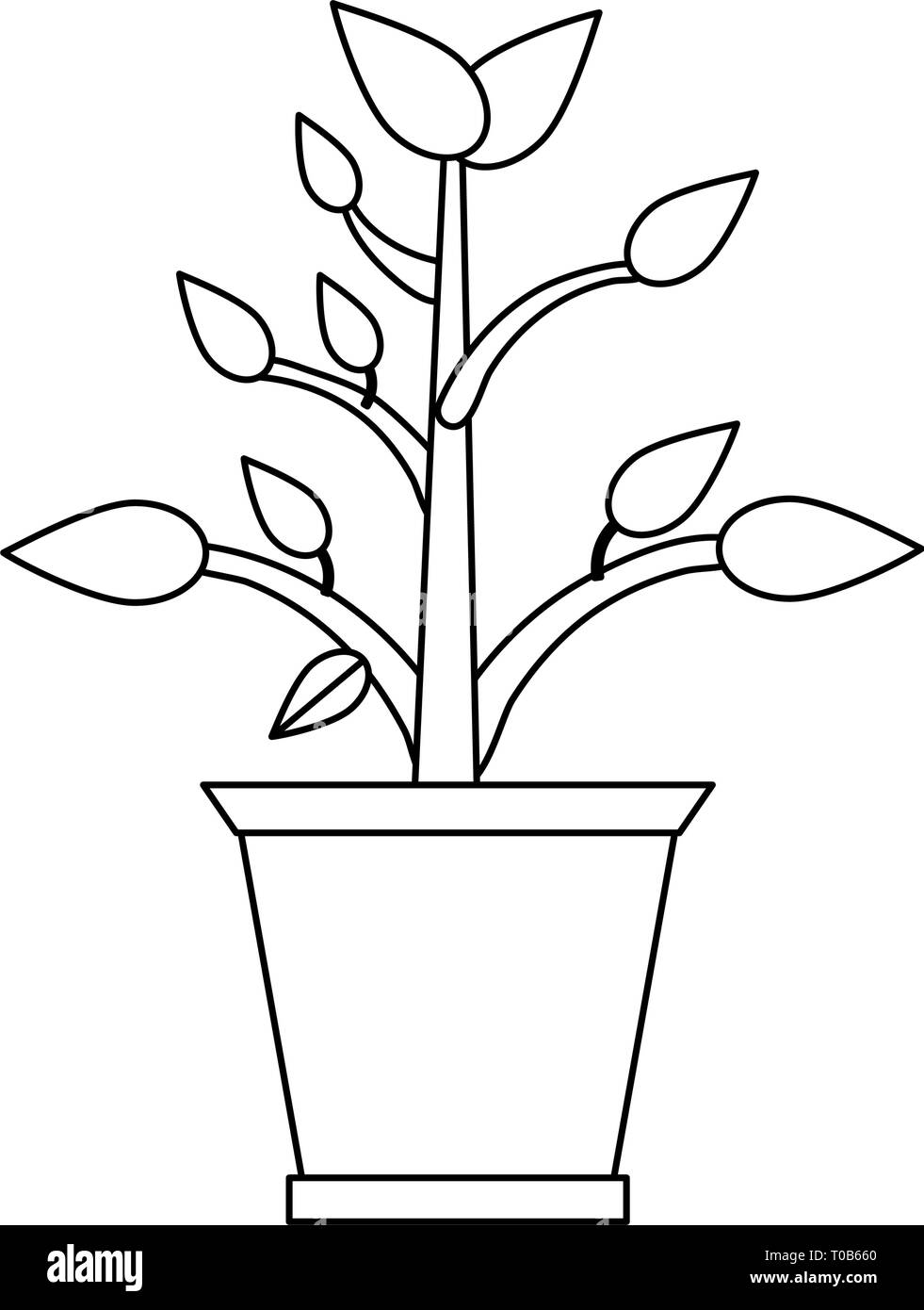 Plant in pot cartoon black and white Stock Vector Image & Art Alamy