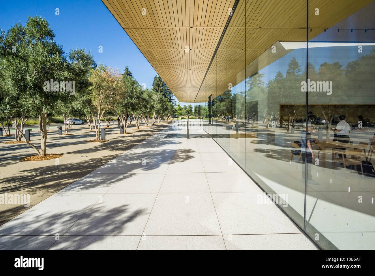 The Apple Visitor Center in Cupertino, California Stock Photo