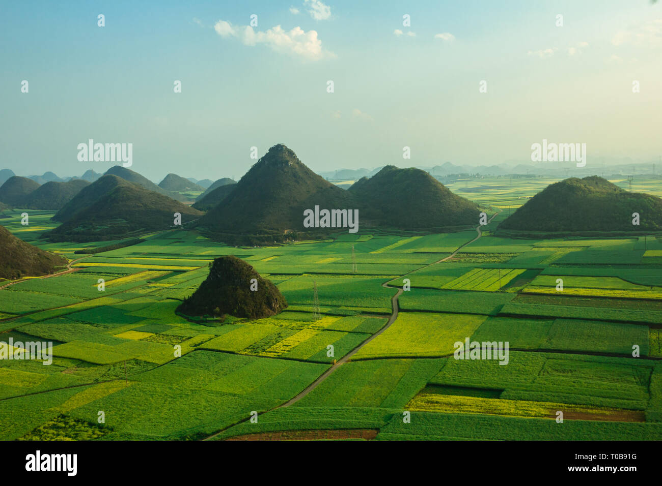 Rapeseed fields and mountains in Luoping, Chinese countryside Stock Photo