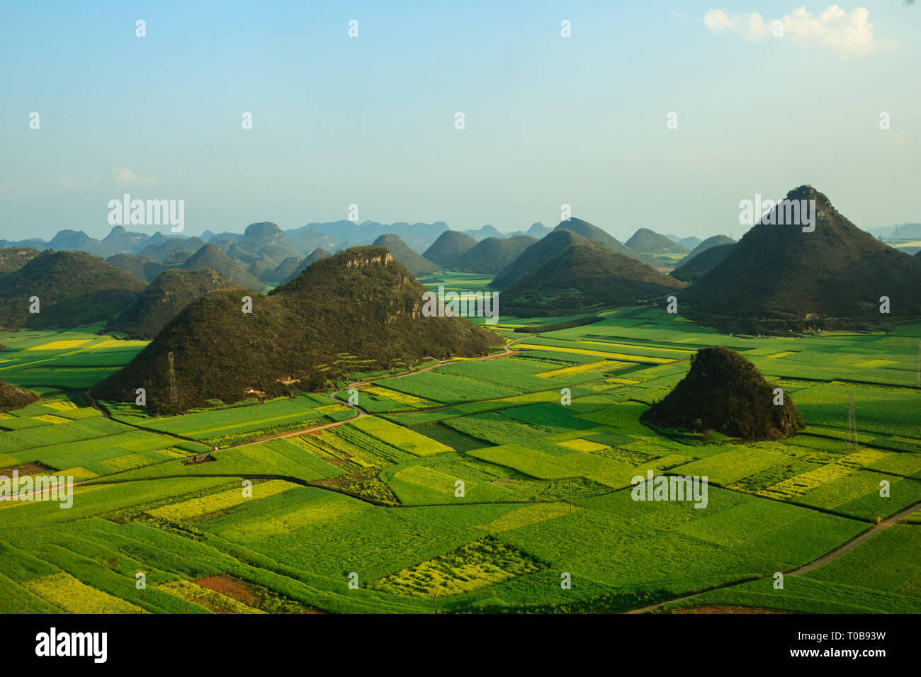 Rapeseed fields and mountains in Luoping, Chinese countryside Stock Photo