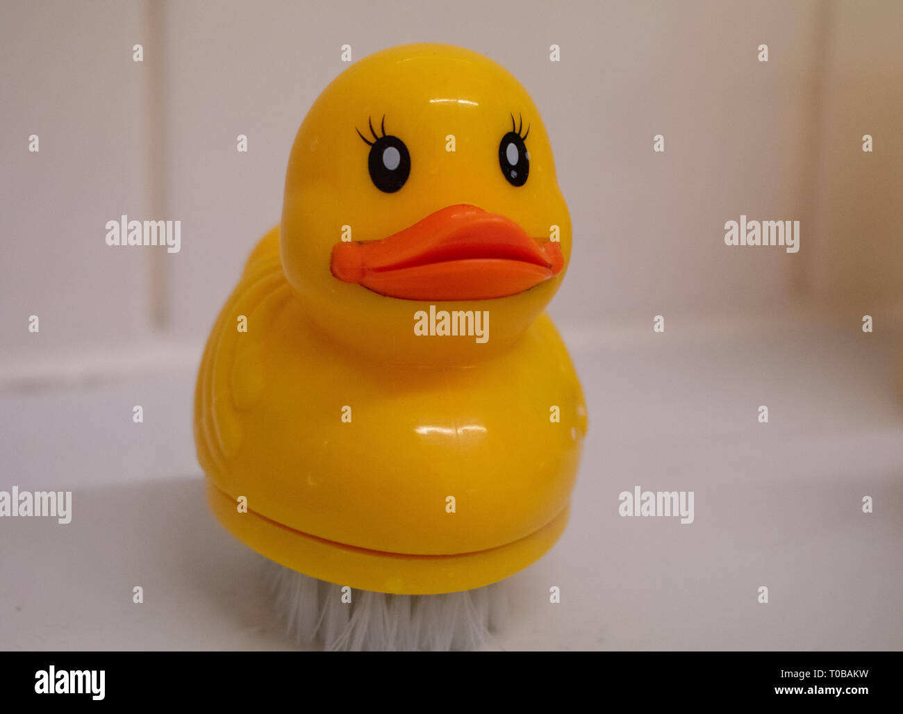 Rubber duck nail brush on bathroom sink Stock Photo Alamy