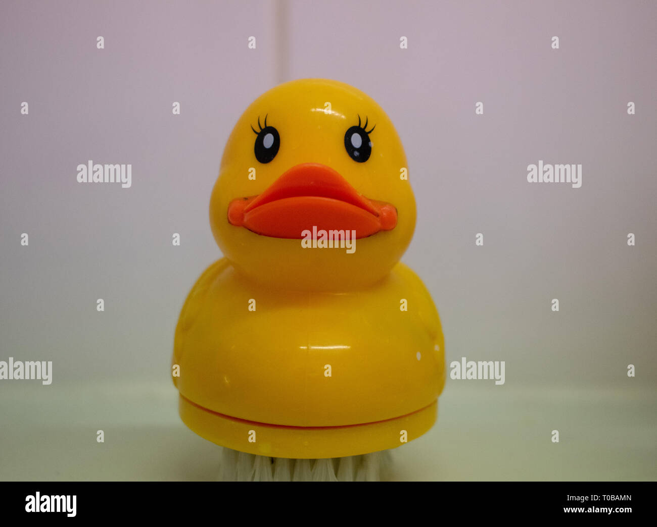 Rubber duck nail brush on bathroom sink Stock Photo Alamy