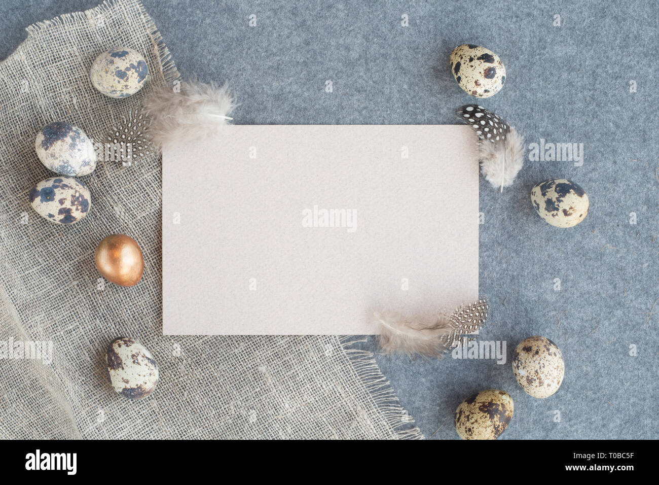 Easter greeting card with copy space for text and beautiful decor of eggs and feathers on fabric background pastel colored template for design Stock Photo