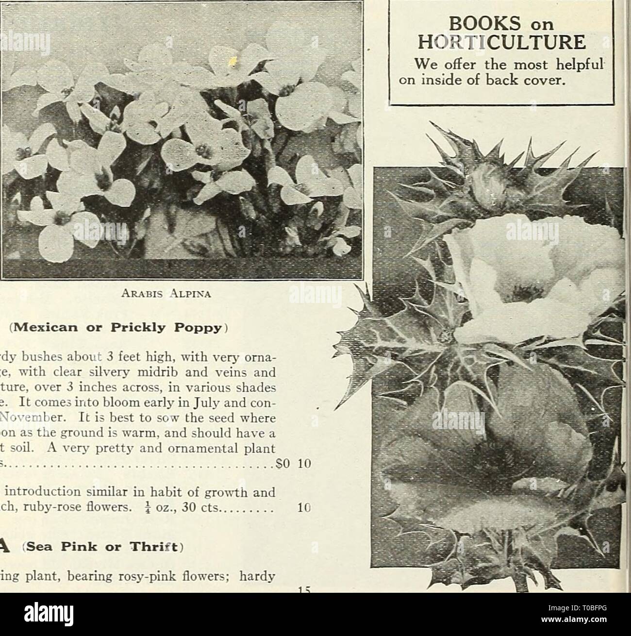 Dreer S Garden Book 1924 1924 Dreer S Garden Book 1924