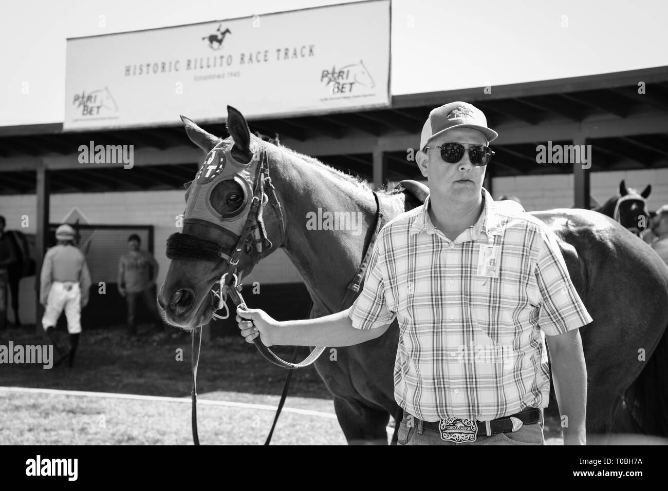 Thourghbreed race horse with blinders is handled by trainer in paddock before a race at the Rillito Park Racetrack in Tucson, AZ, in black and white Stock Photo