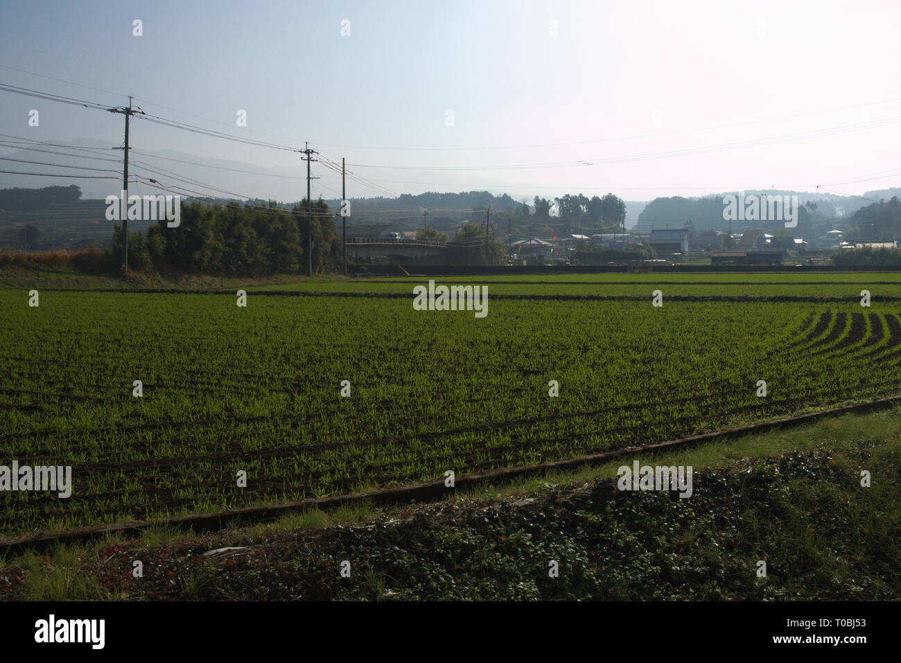 Farms in Kumamoto, Kyushu, Japan Stock Photo
