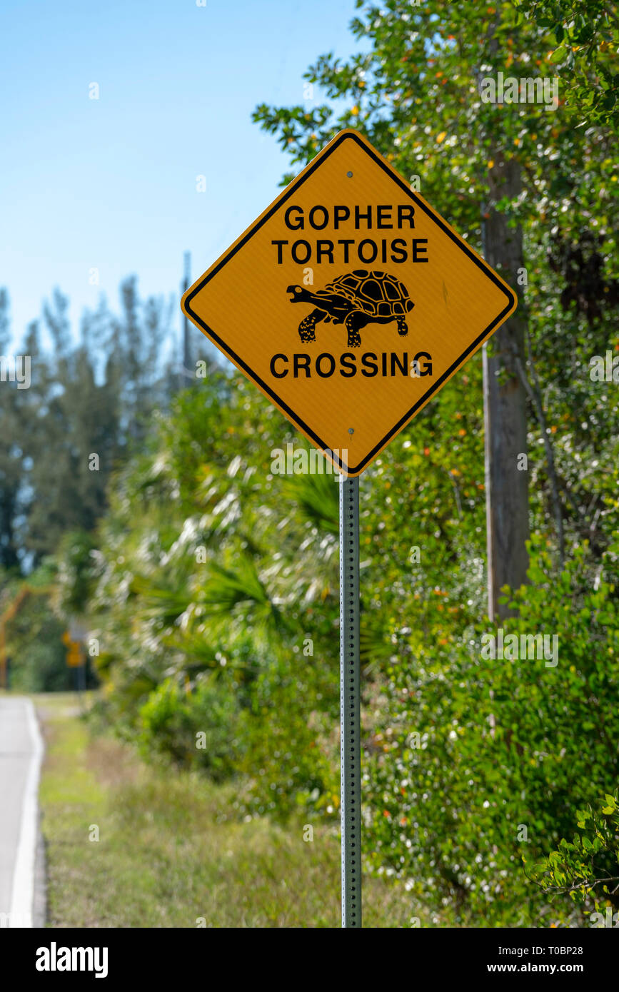 Yellow warning sign to watch out for gopher tortoise on the road Stock Photo