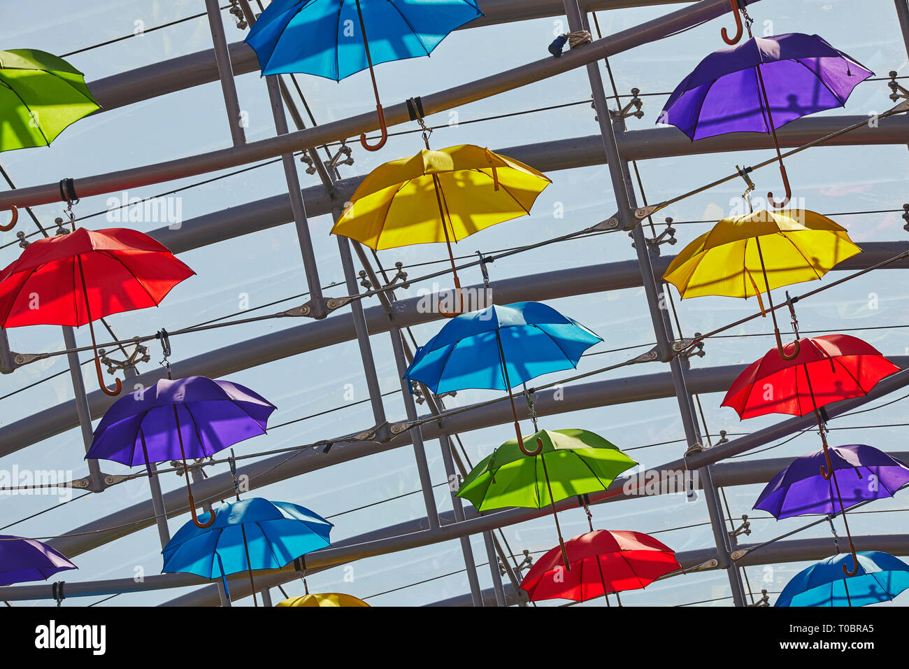 Umbrella designs in a mall roof; modern architecture in Exeter, Devon